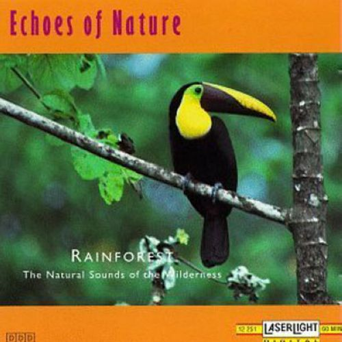Echoes of Nature: Rainforest