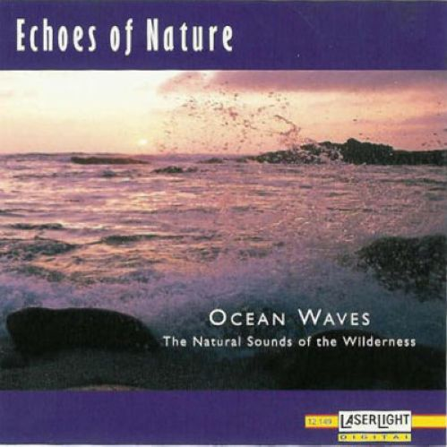 Echoes of Nature: Ocean Waves