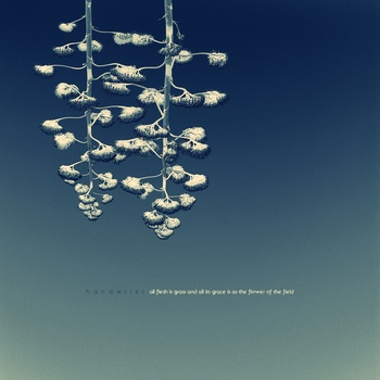 The Tree Of Knowledge