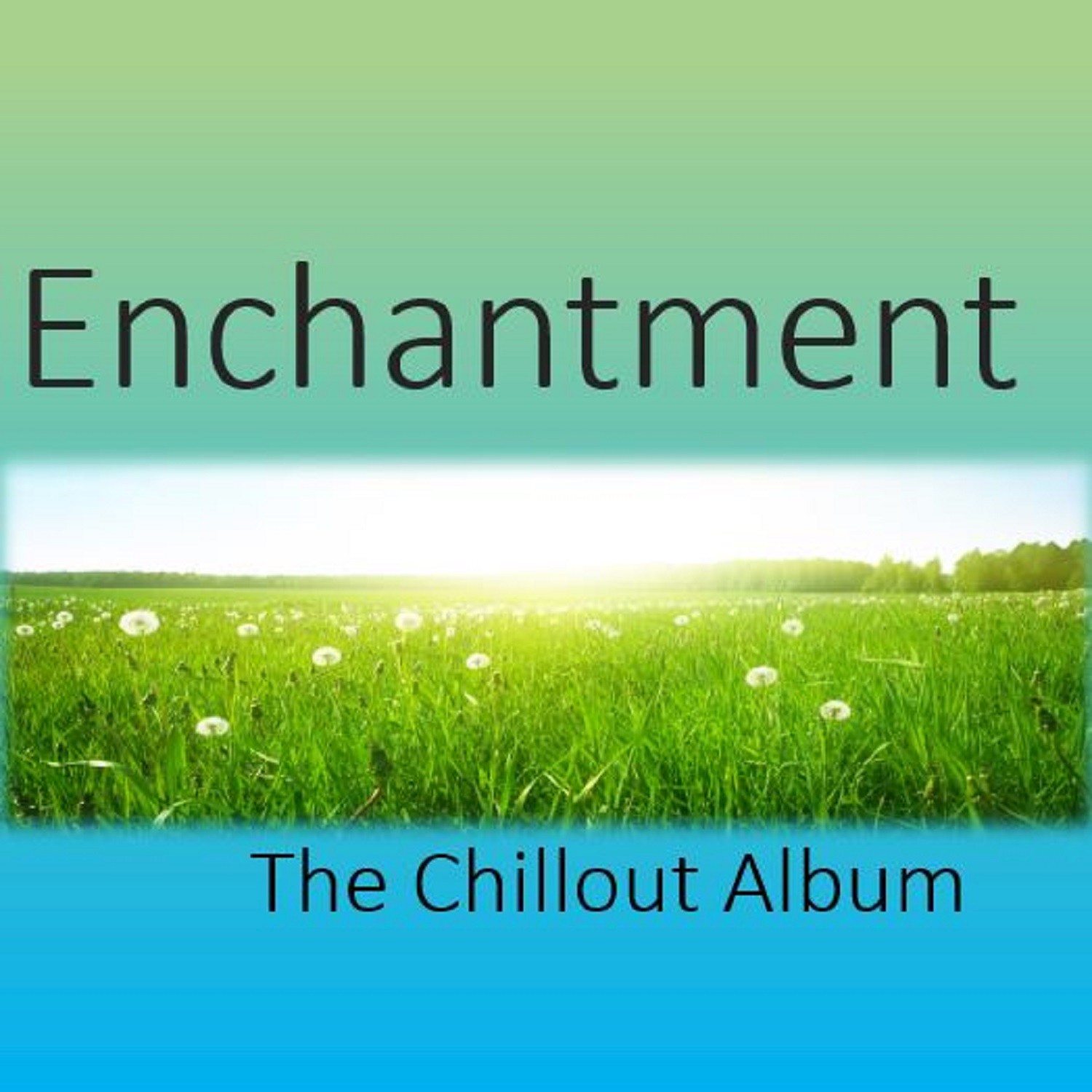 Enchantment: The Chillout Album