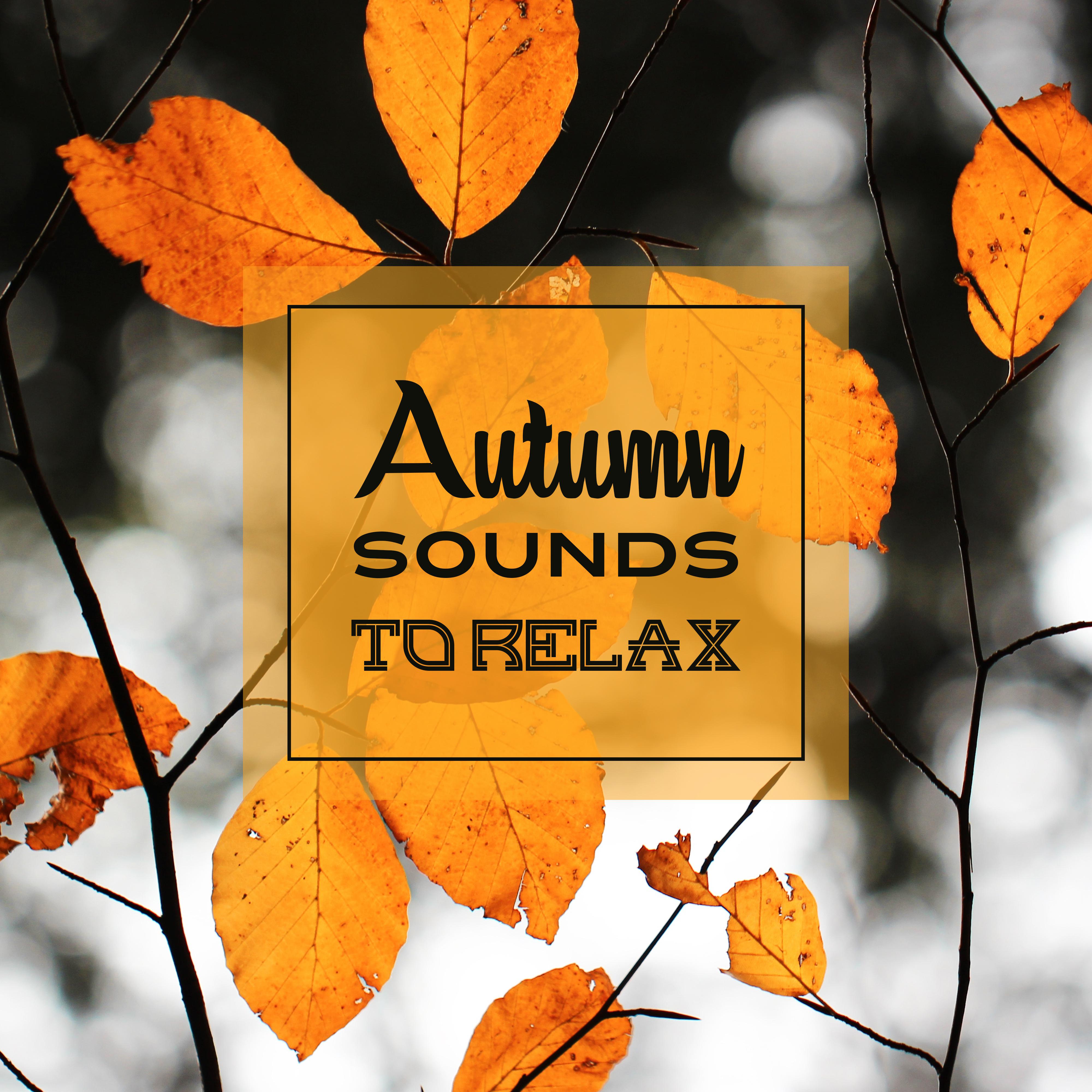 Autumn Sounds to Relax