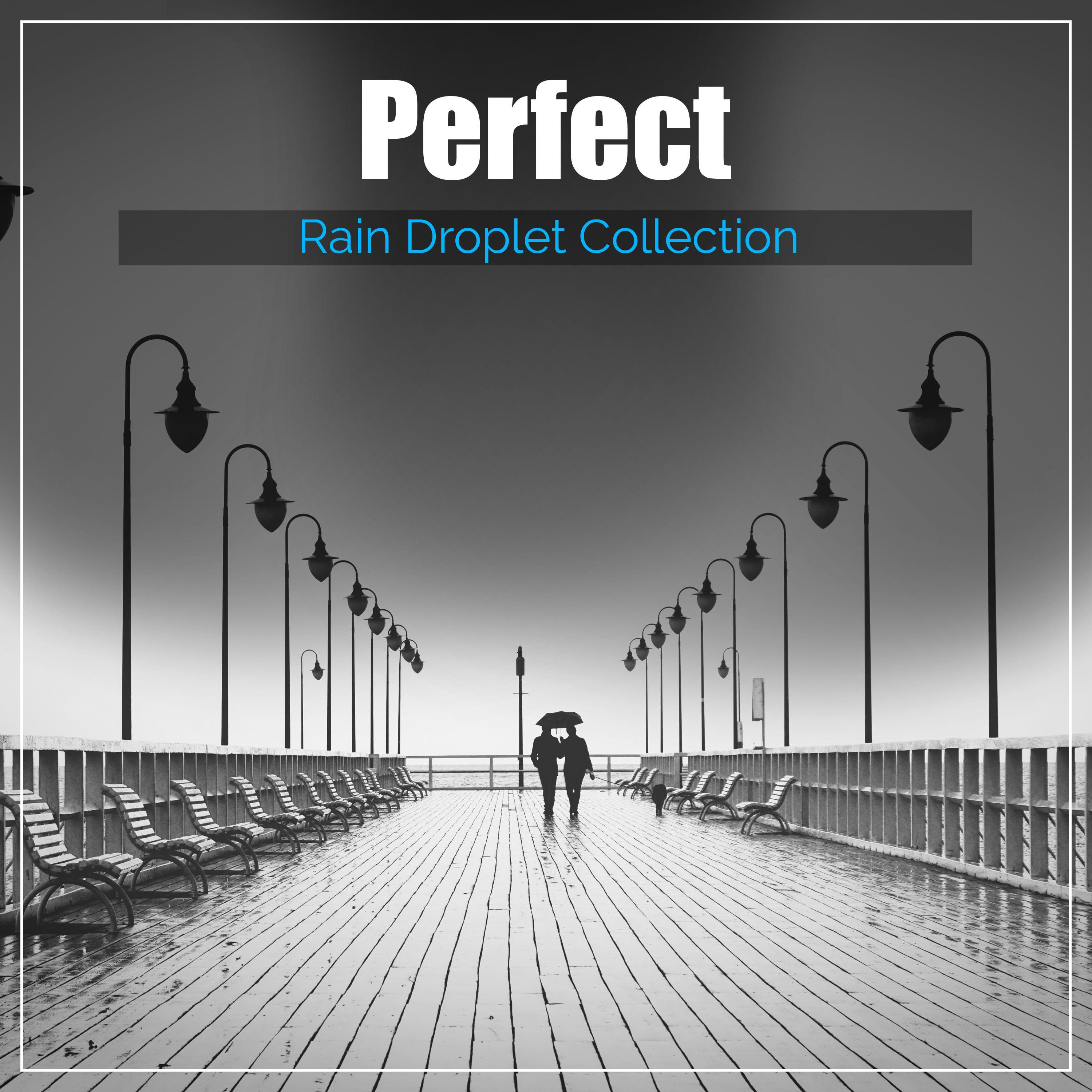 #21 Perfect Rain Droplet Collection