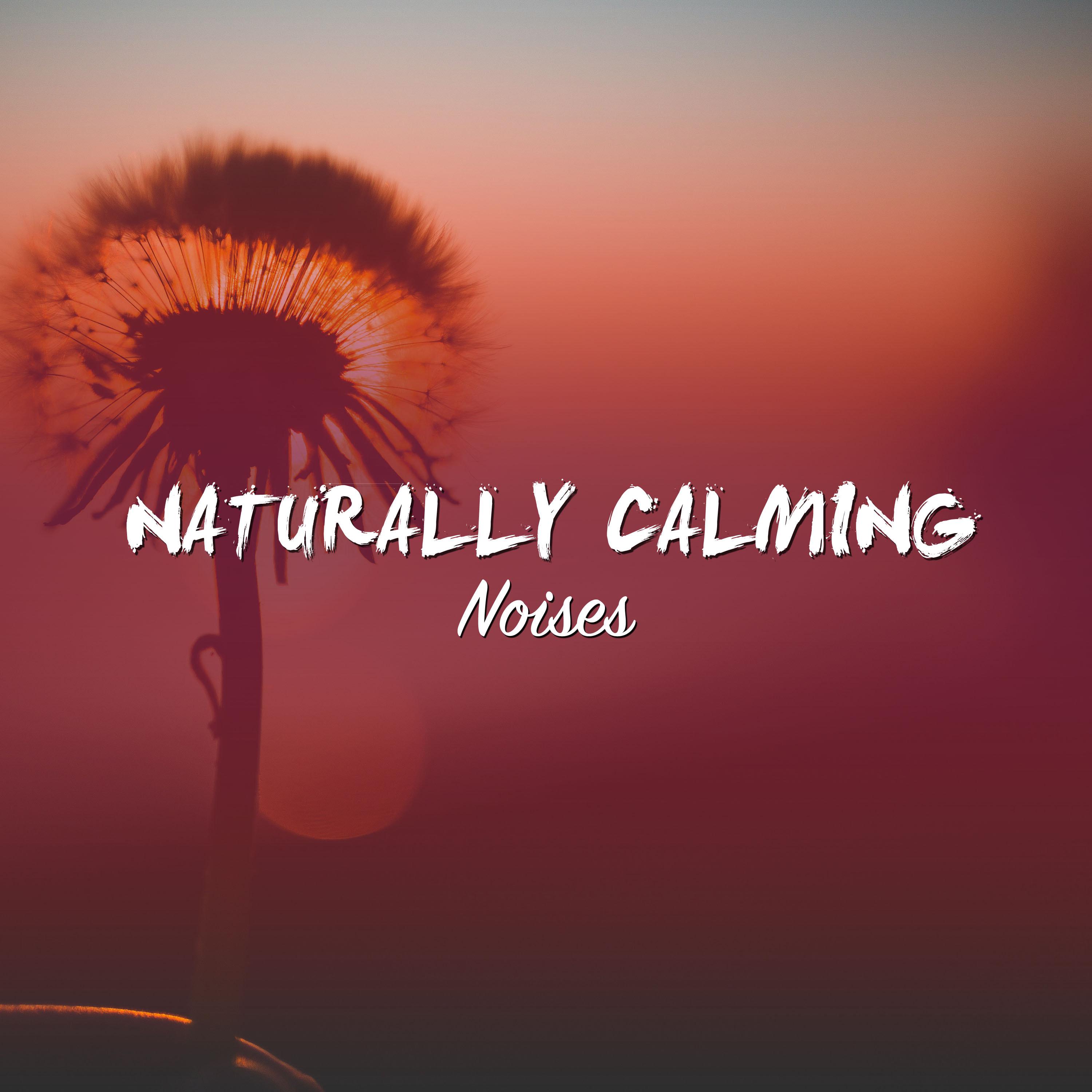 #21 Naturally Calming Noises for Sleep and Relaxation