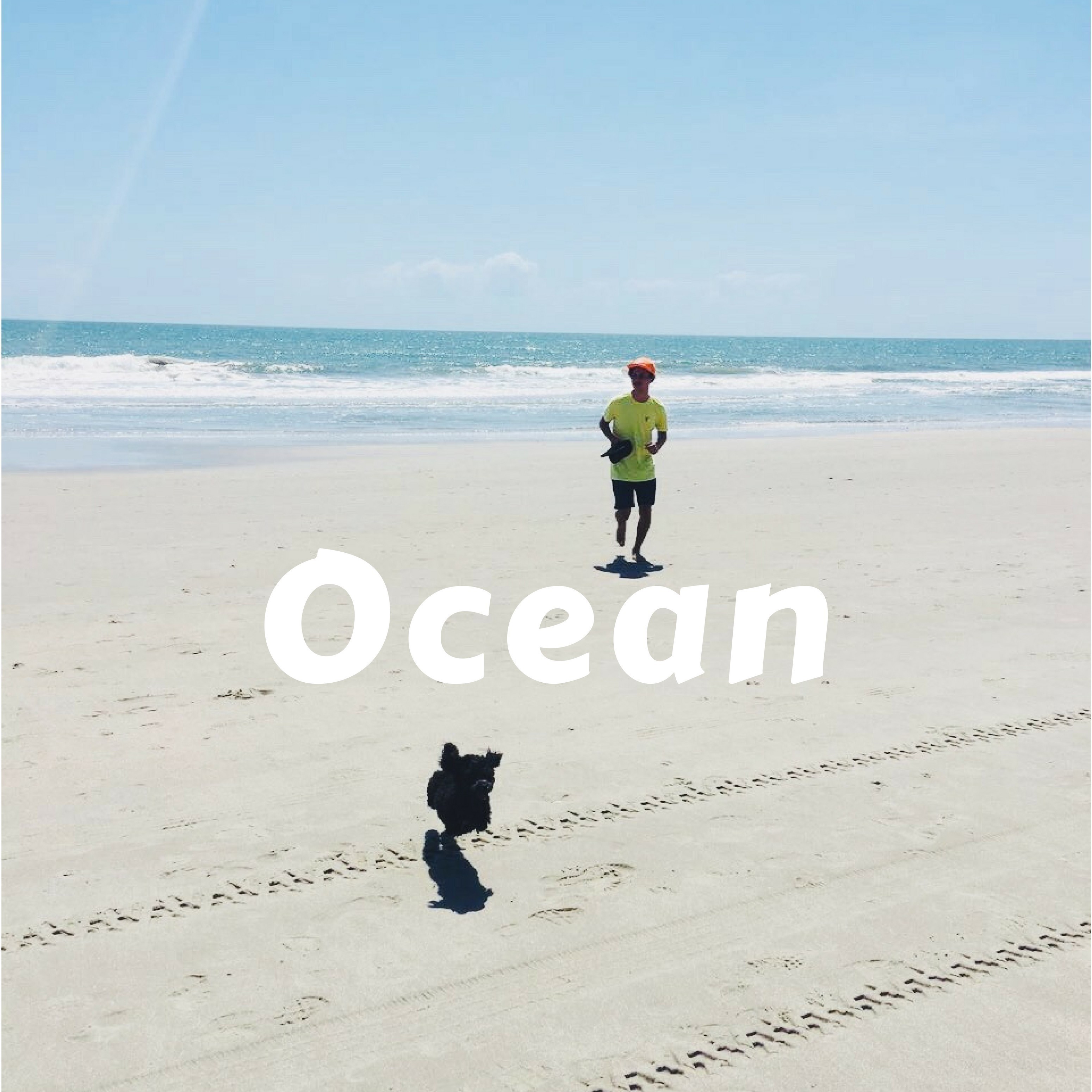 Ocean