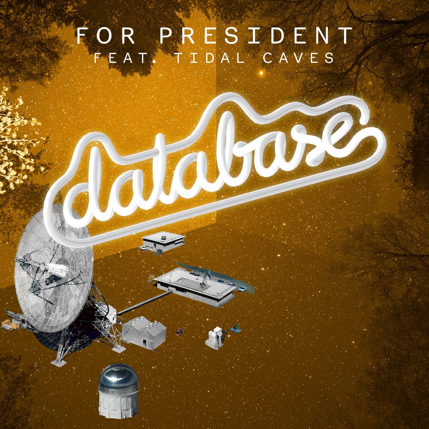 For President (feat. Tidal Caves) (F82 Remix)