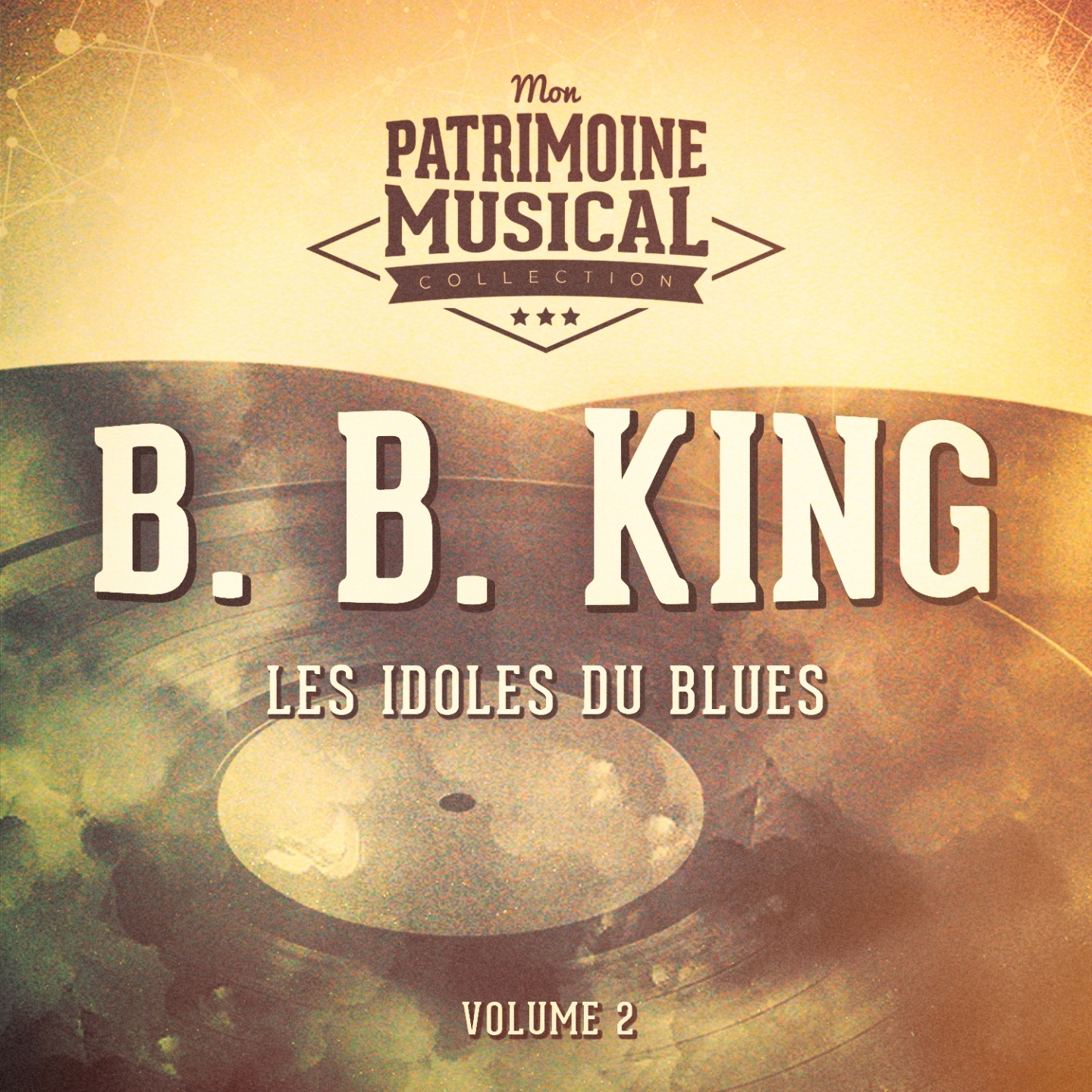 Les Idoles Du Blues: B.B. King, Vol. 2