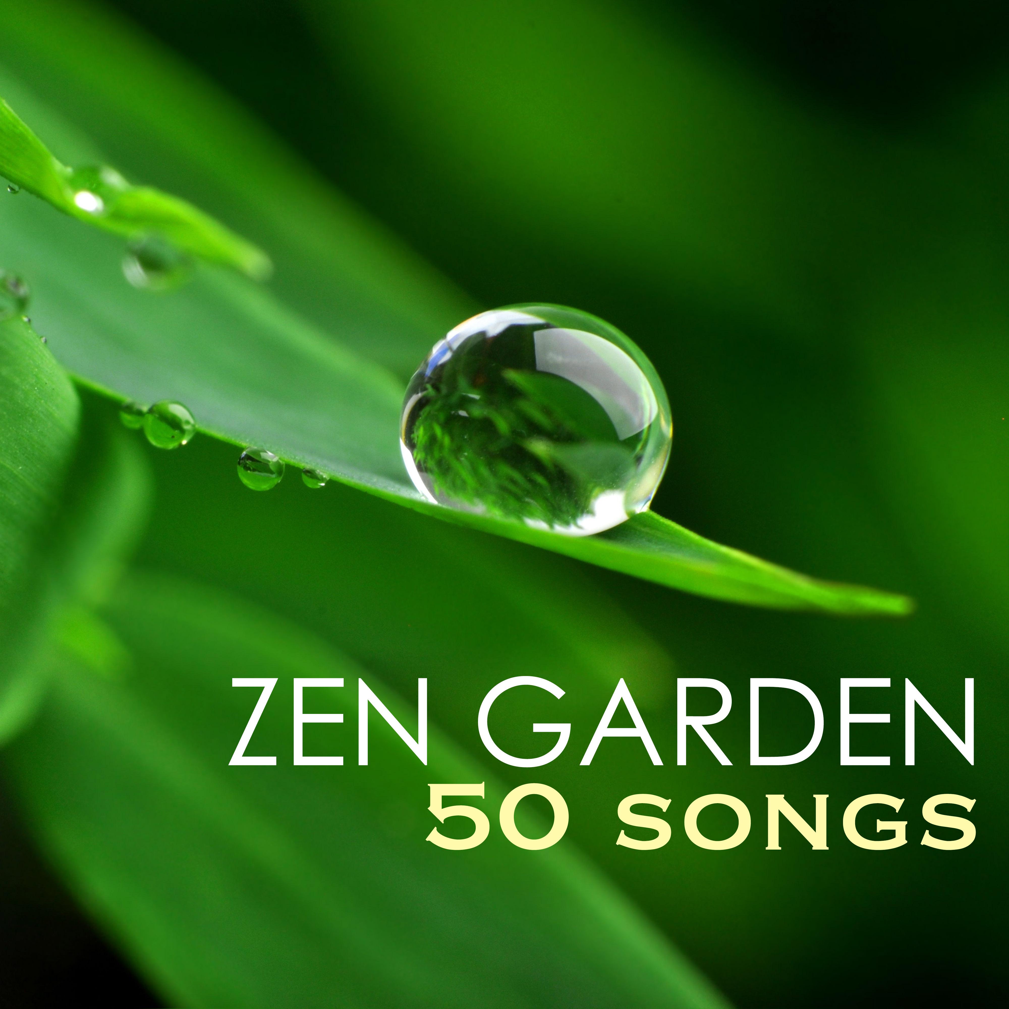 Zen Garden - Serenity Spa Music Relaxation, 50 Sounds of Nature Deep Sleep Lullabies