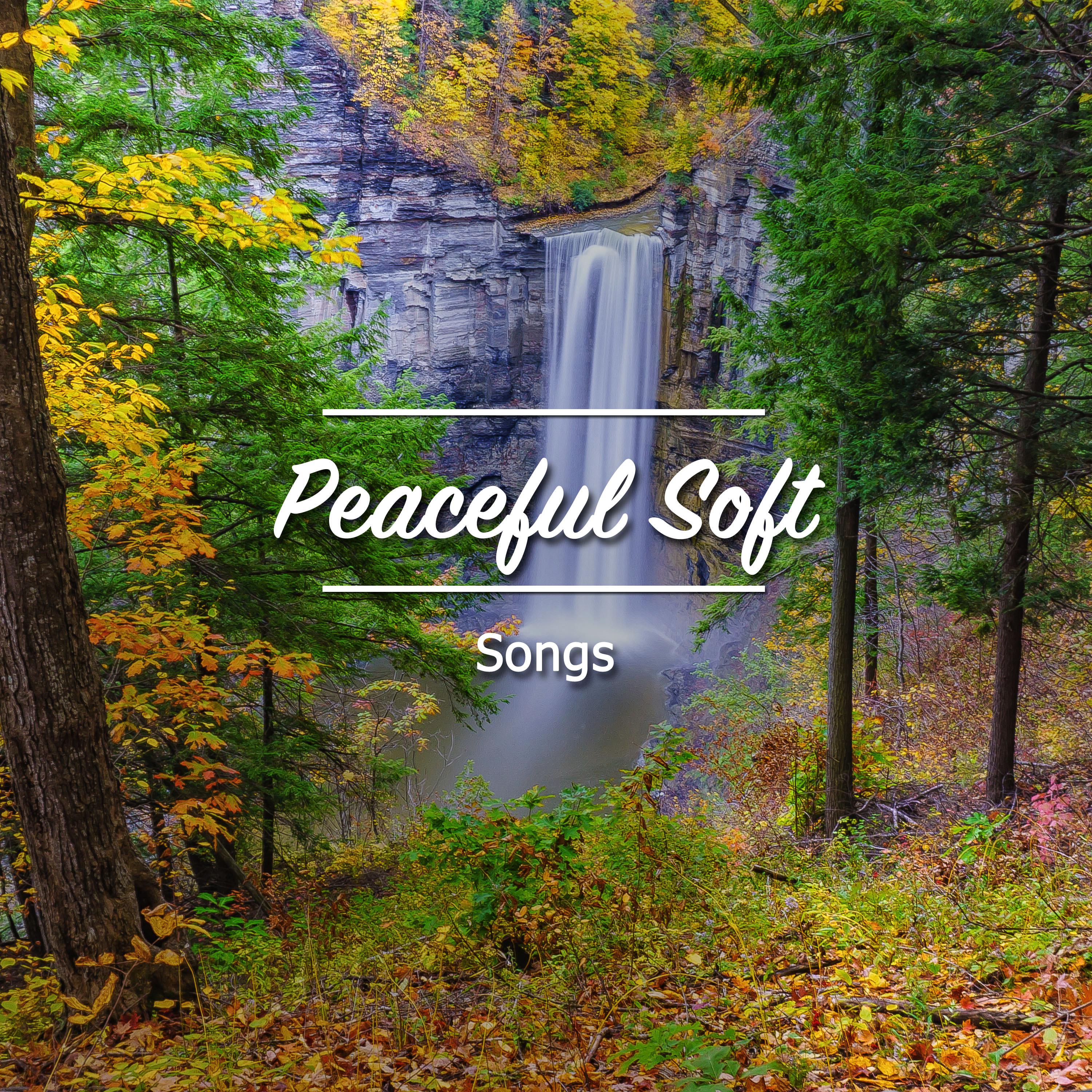 12 canções suaves e pacíficas para a paz interior