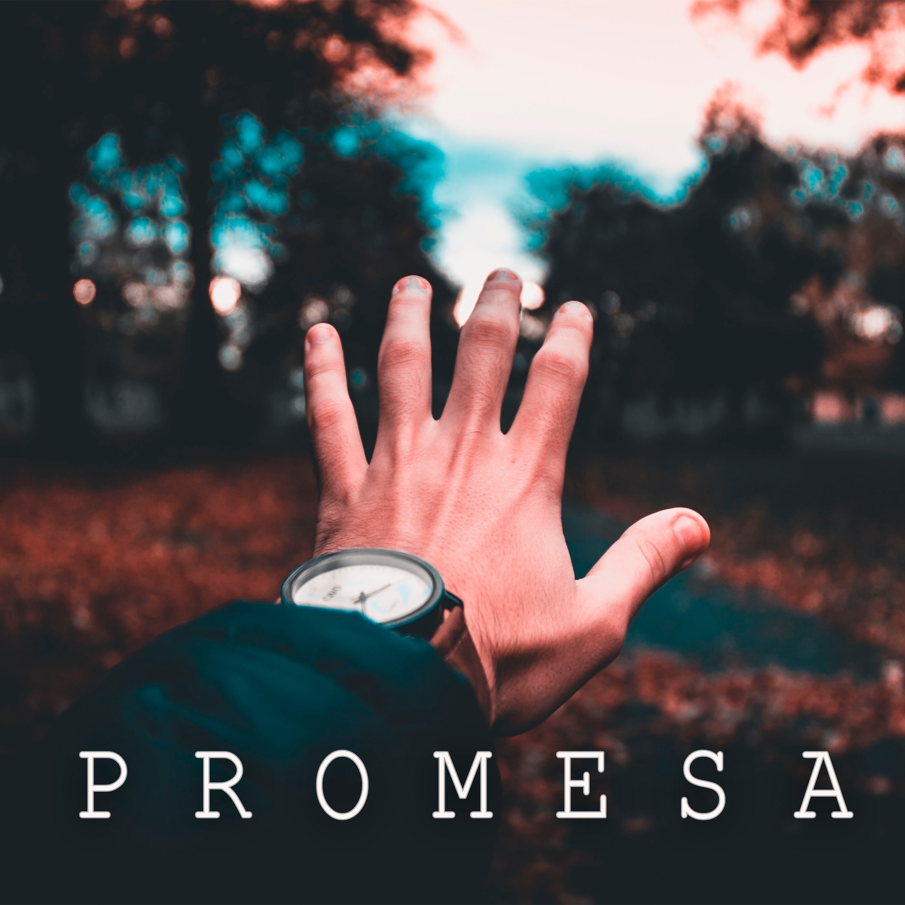 Promesa