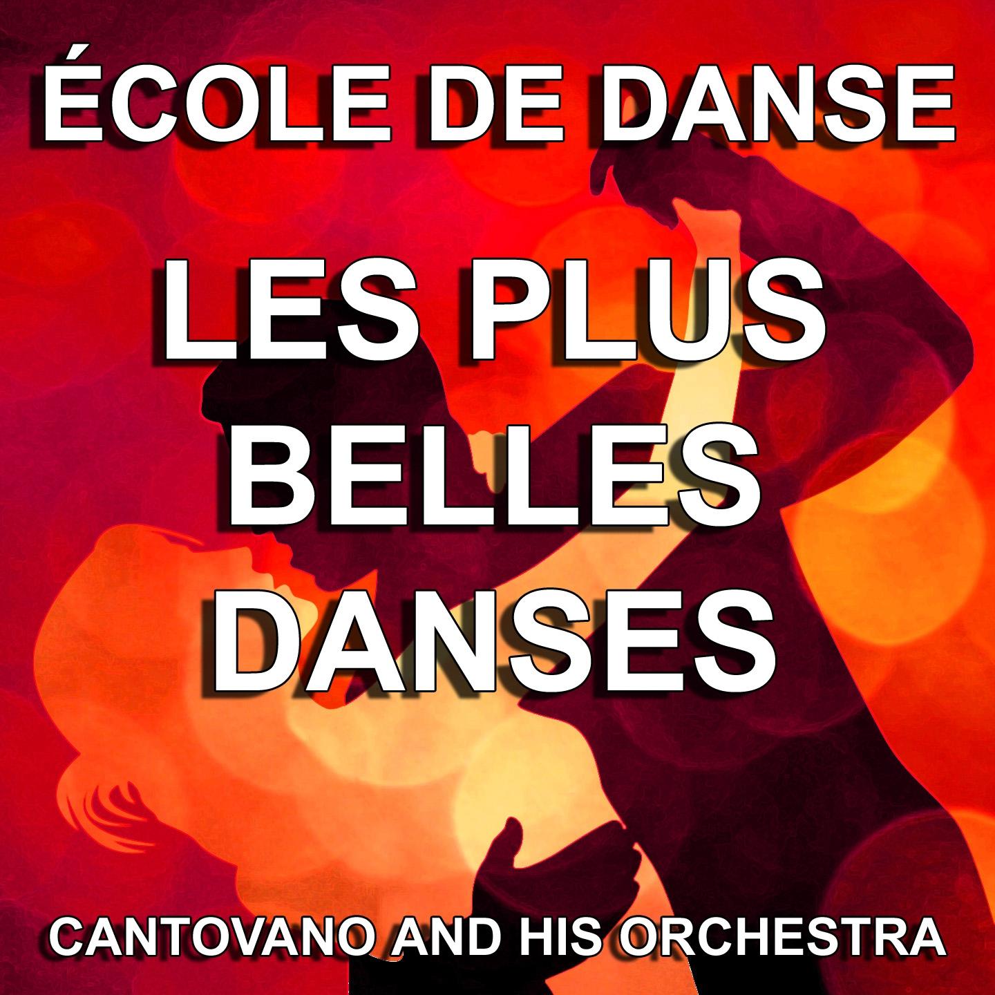 Les plus belles danses de salon (École de danse)