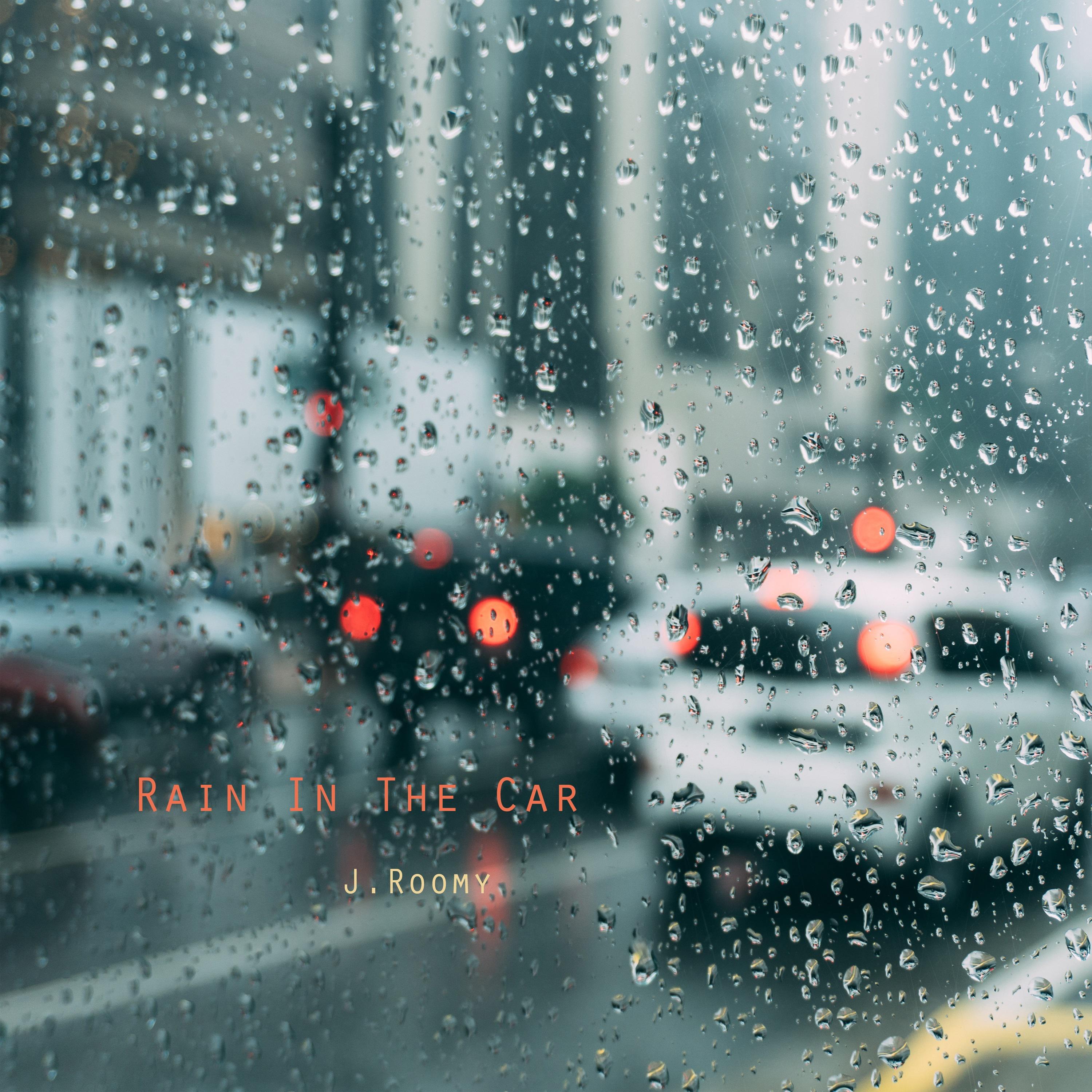 Rain In The Car