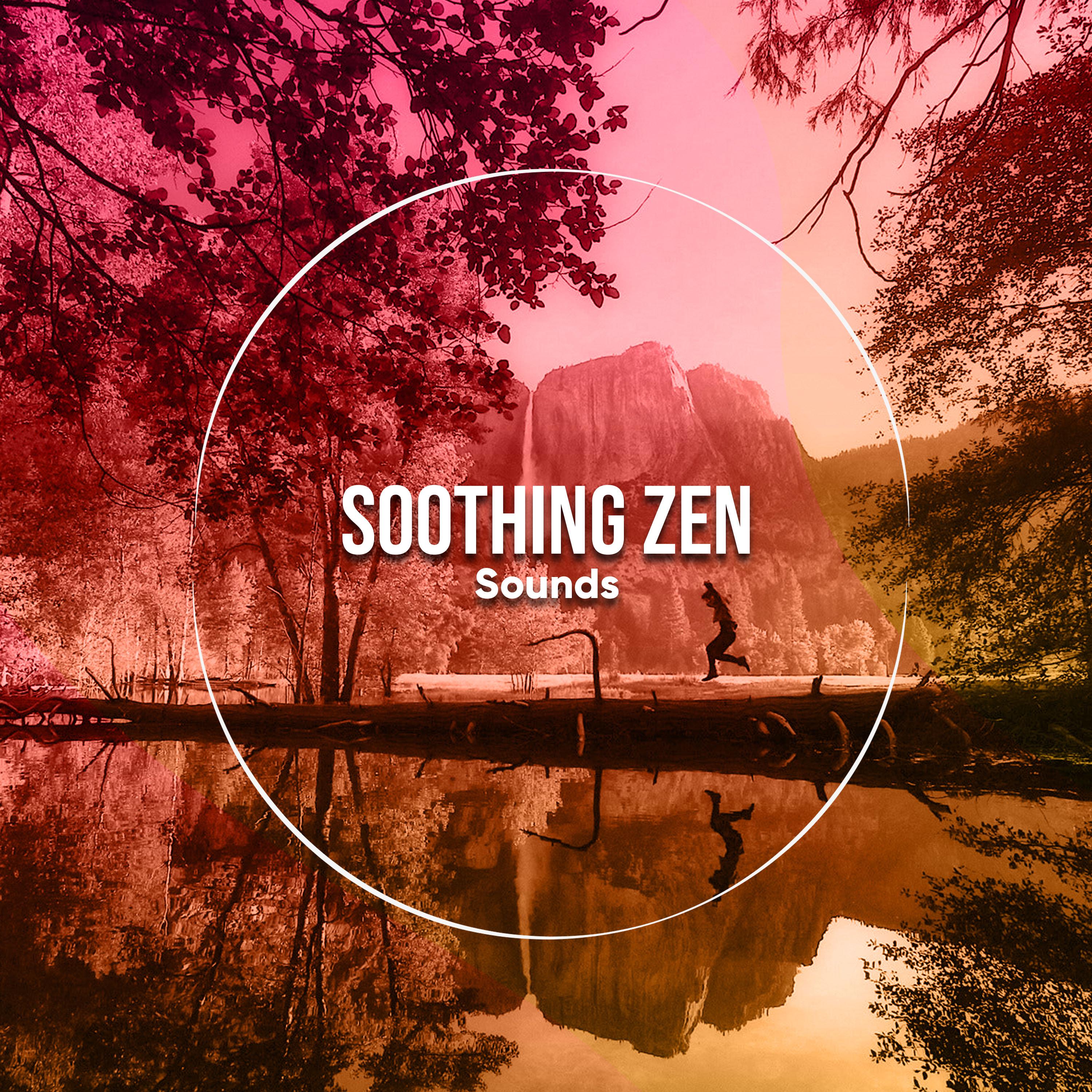 16 Sonidos Zen Tranquilizadores para la Atención Plena