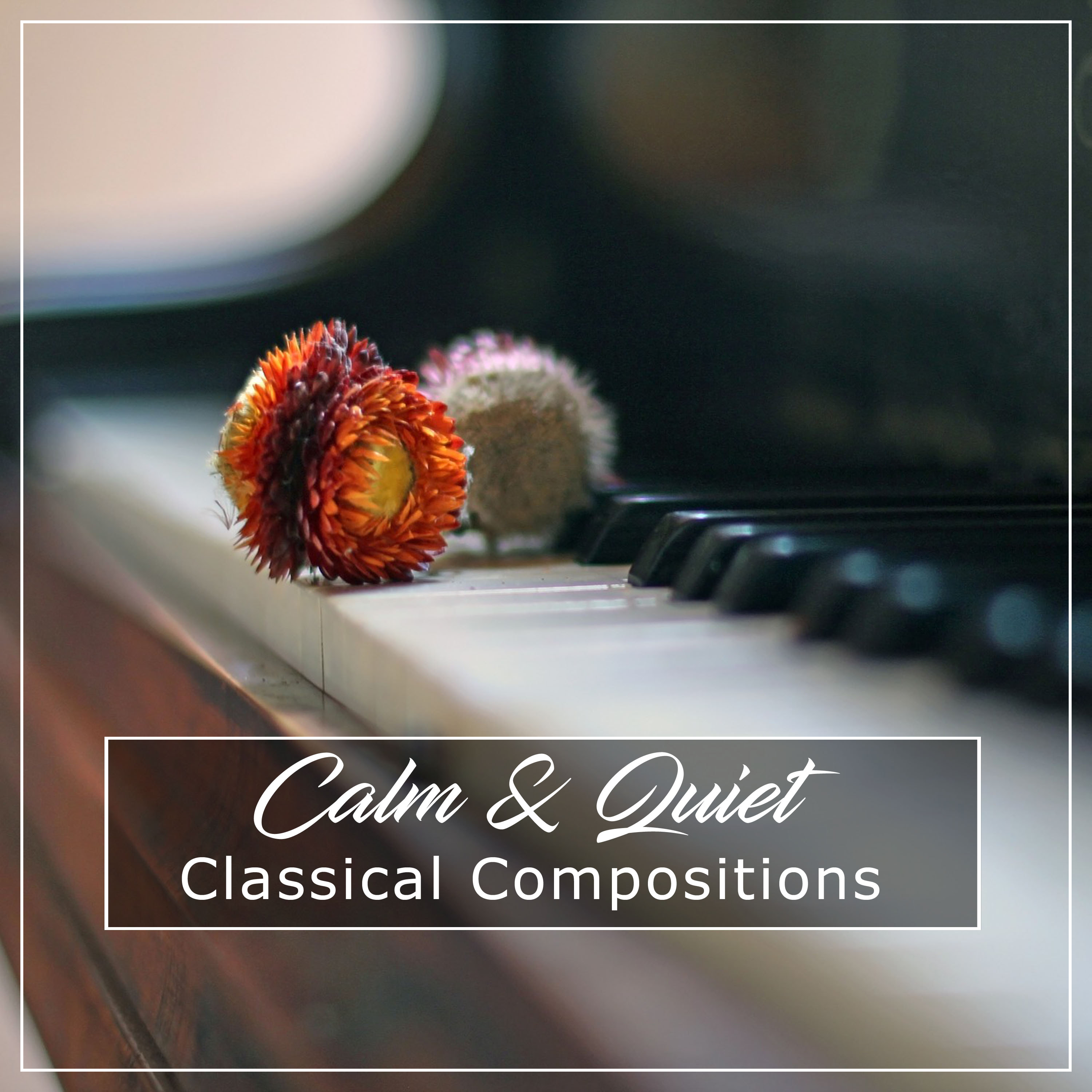 #11 Calm & Quiet Classical Compositions