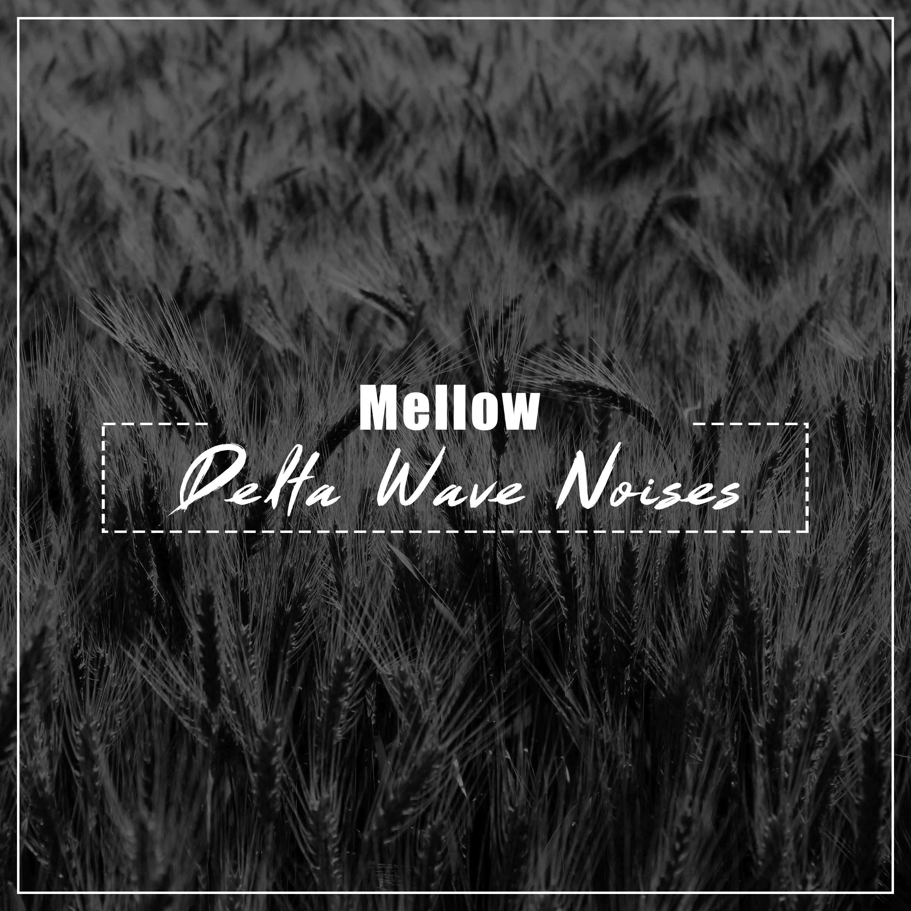 #5 Mellow Delta Wave Noises