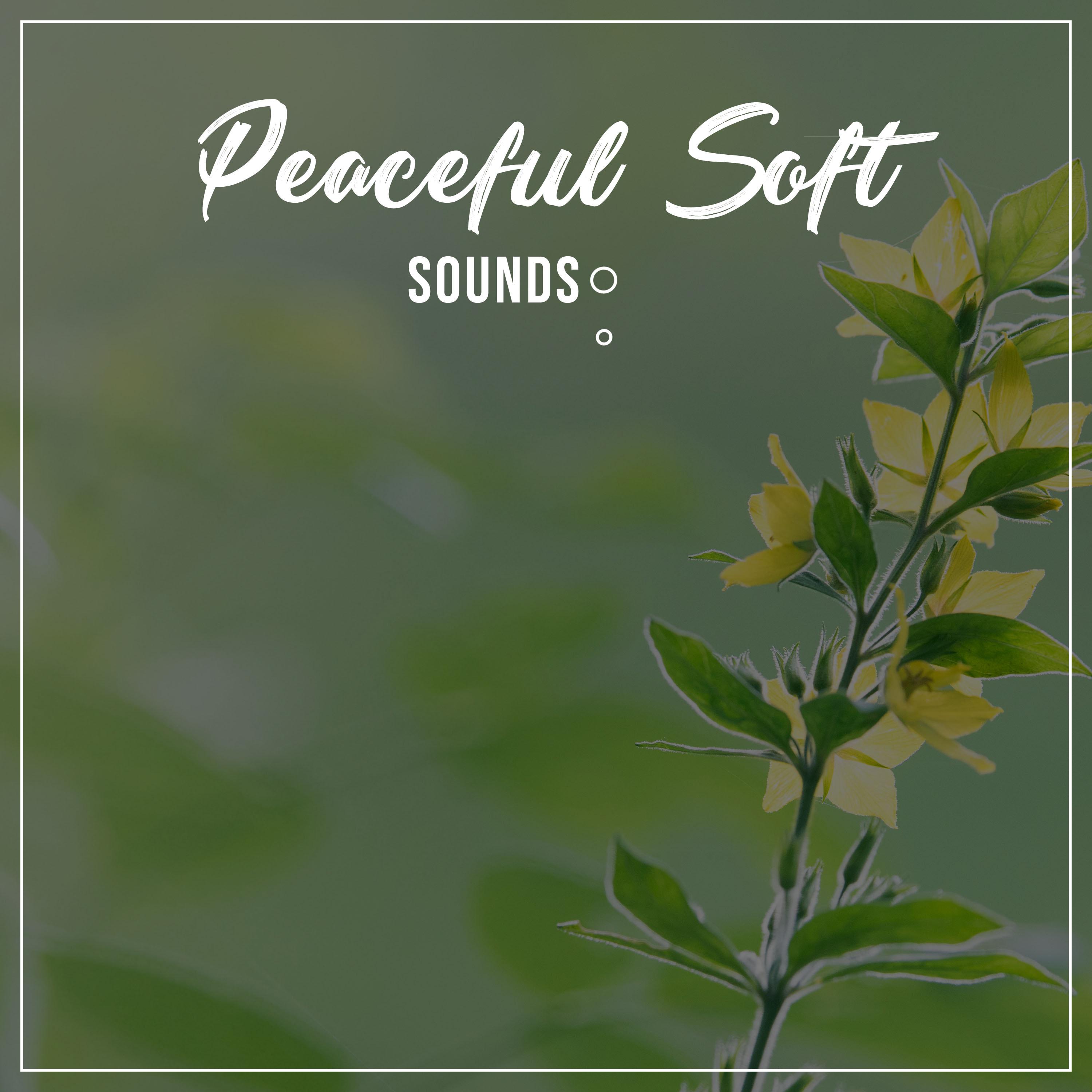 #16 Peaceful Soft Sounds for Meditation