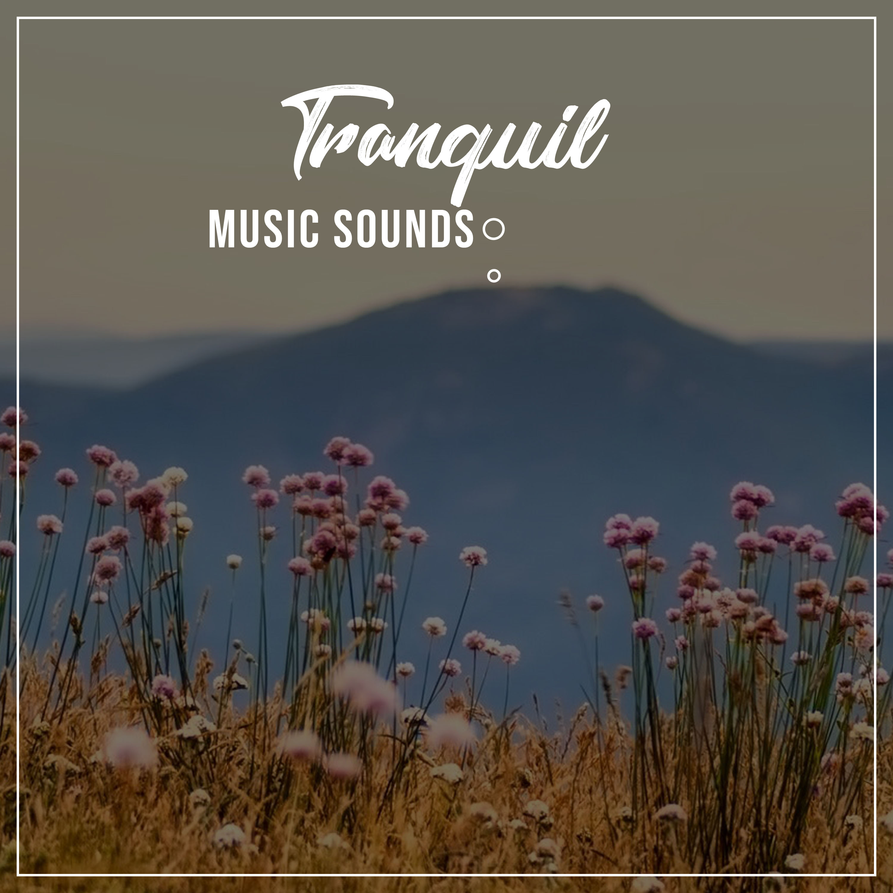 #17 Tranquil Music Sounds for Sleep