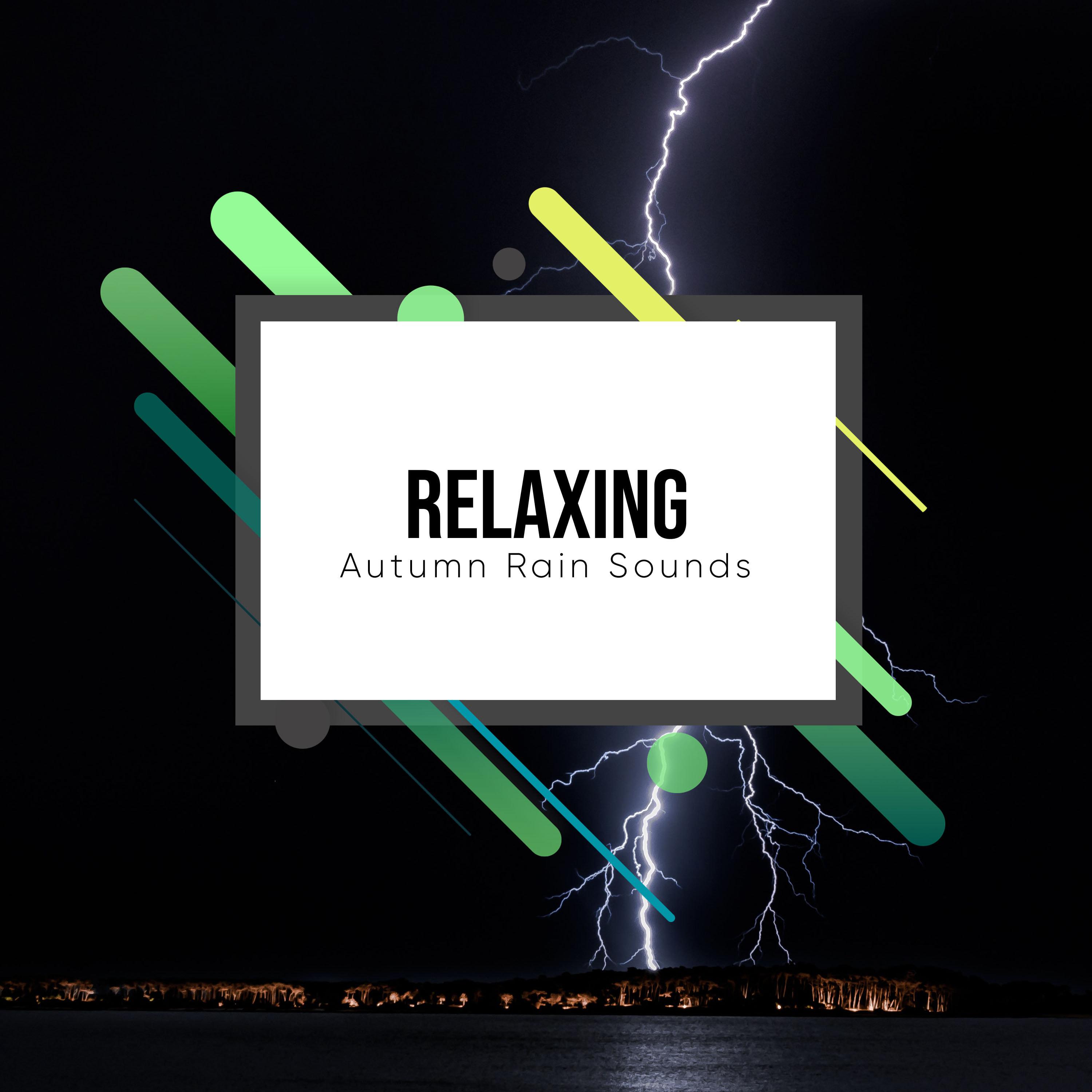 #16 Relaxing Autumn Rain Sounds for Sleep and Relaxation