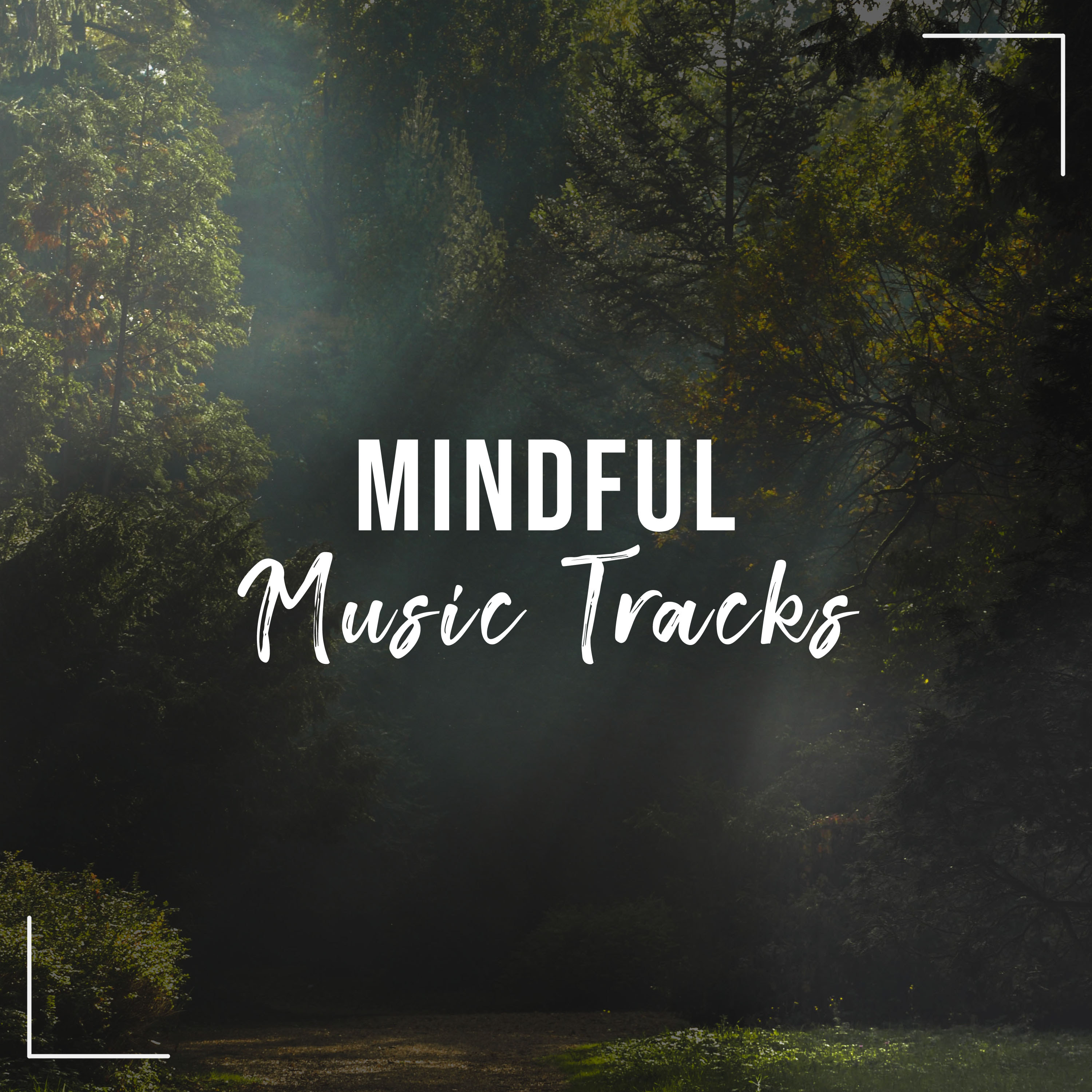 #14 Mindful Music Tracks for Meditation