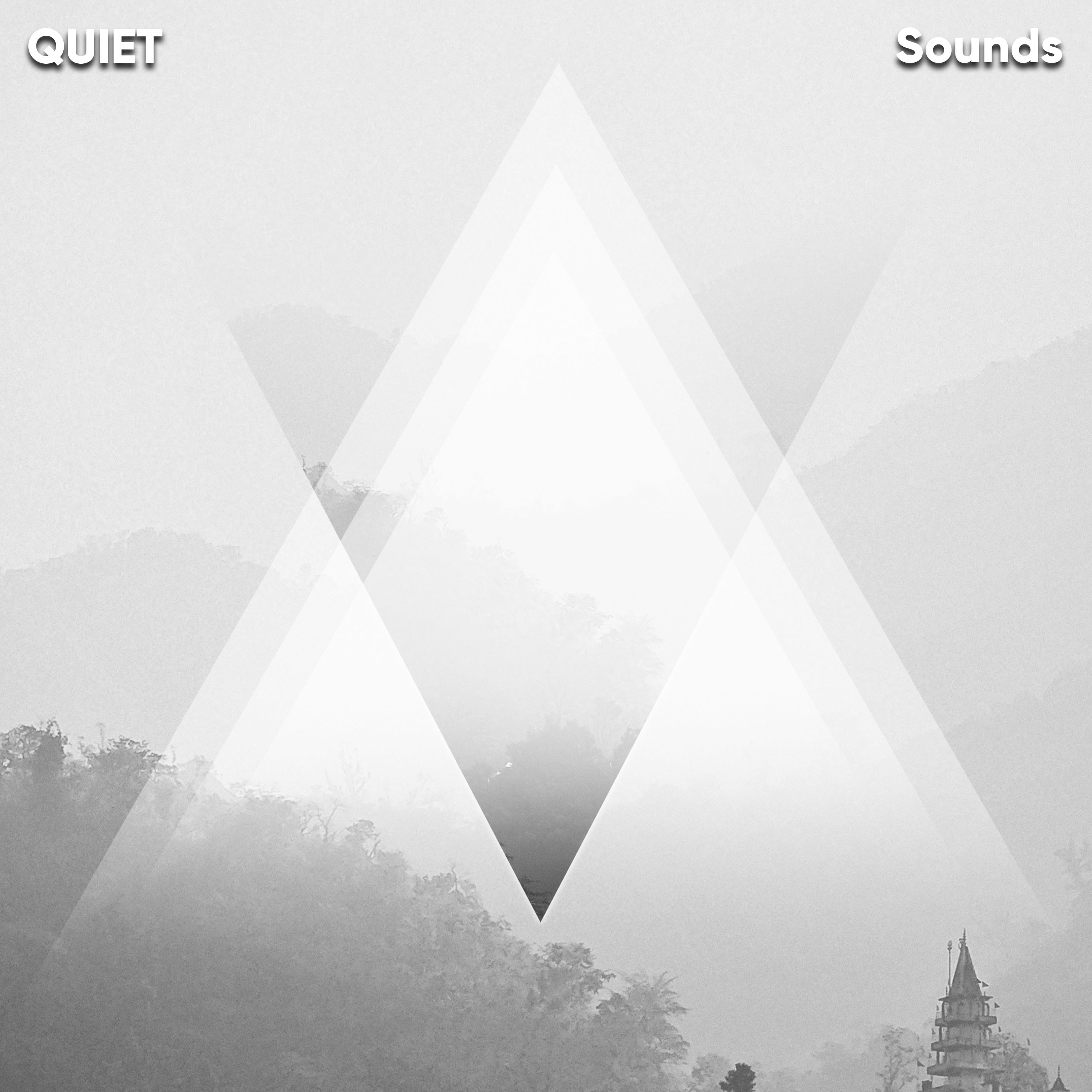 #20 Quiet Sounds for Relaxation or Meditation