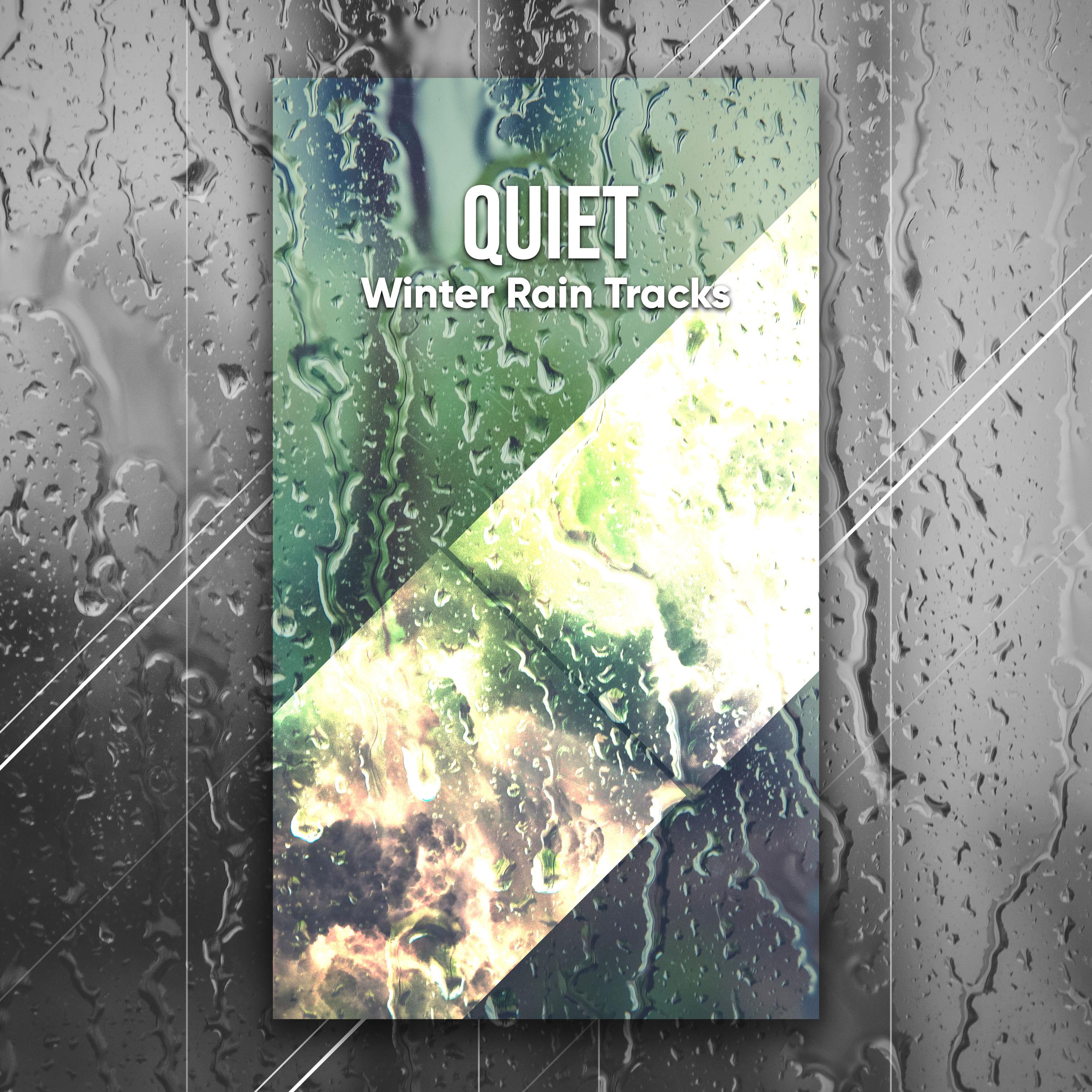 #15 Quiet Winter Rain Tracks
