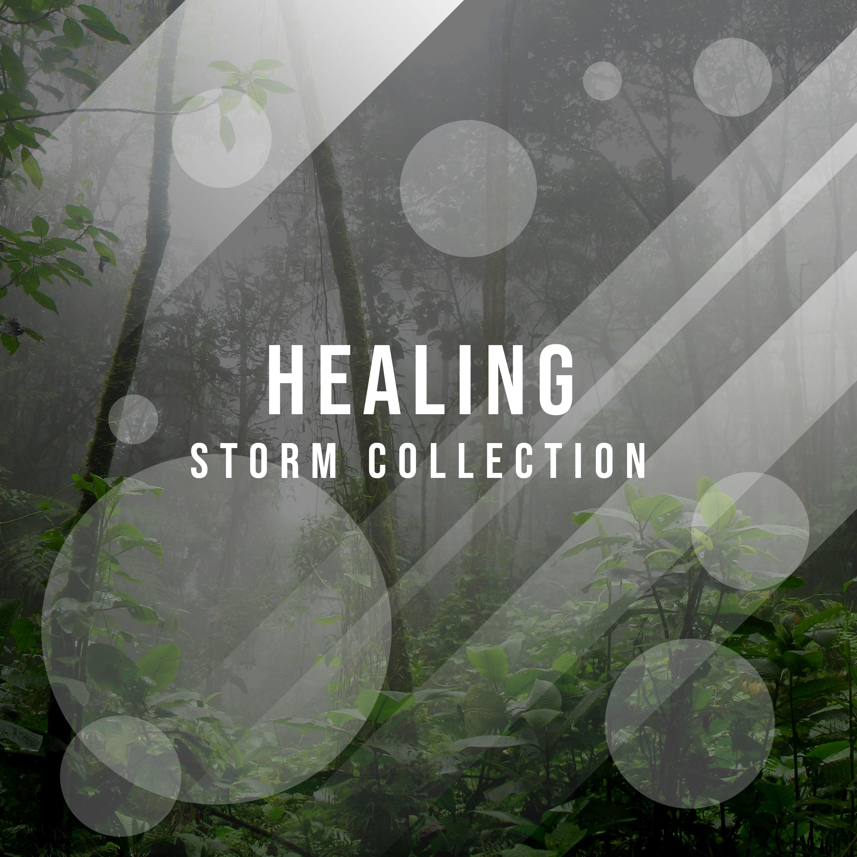 #18 Healing Storm Collection