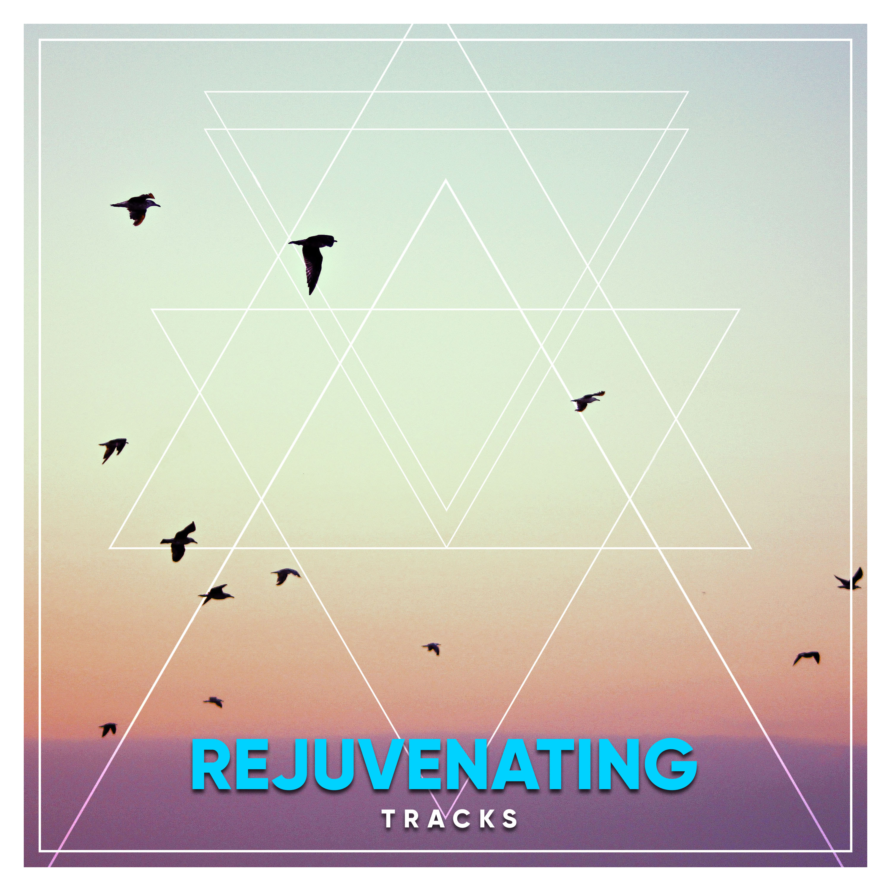 #14 Rejuvenating Tracks for Meditation, Spa and Relaxation