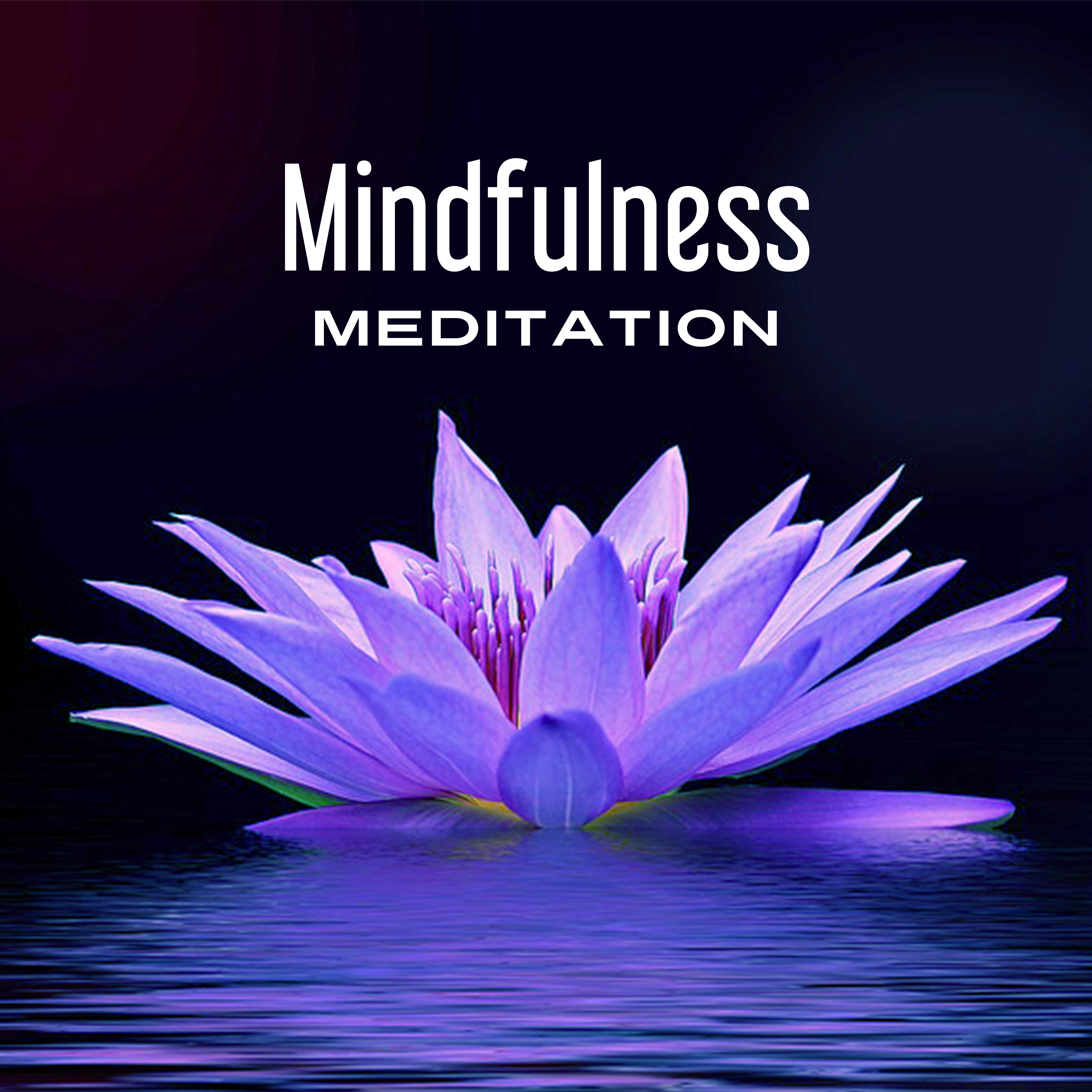 Mindfulness Meditation – Nature Sounds, Relaxed Body & Mind, Keep Focus, Meditation, Relaxation Spa