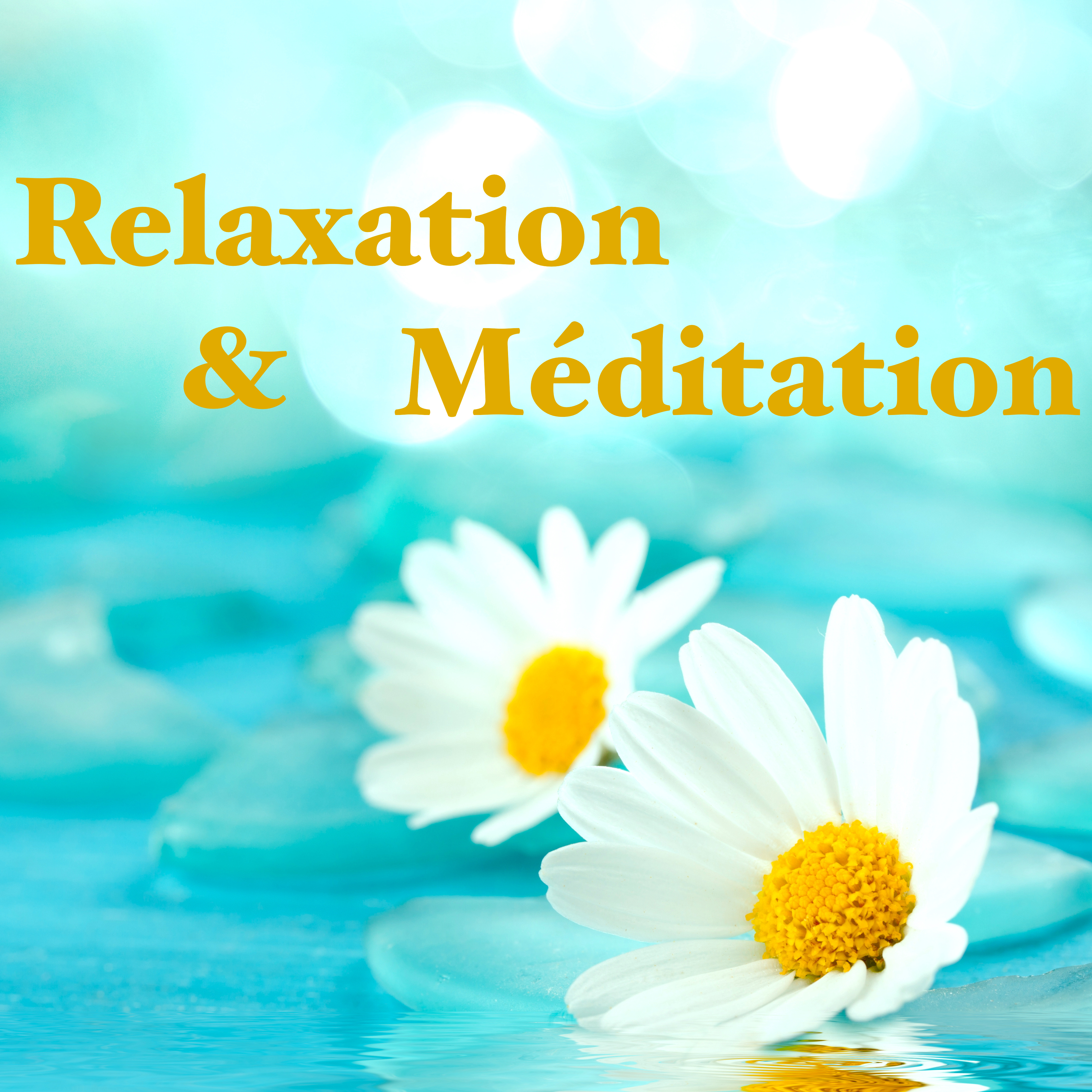 Relaxation & Méditation – Musique Relaxante pour Sadhana Yoga, Yoga Juste Réveiller et Yoga Salutation au Soleil