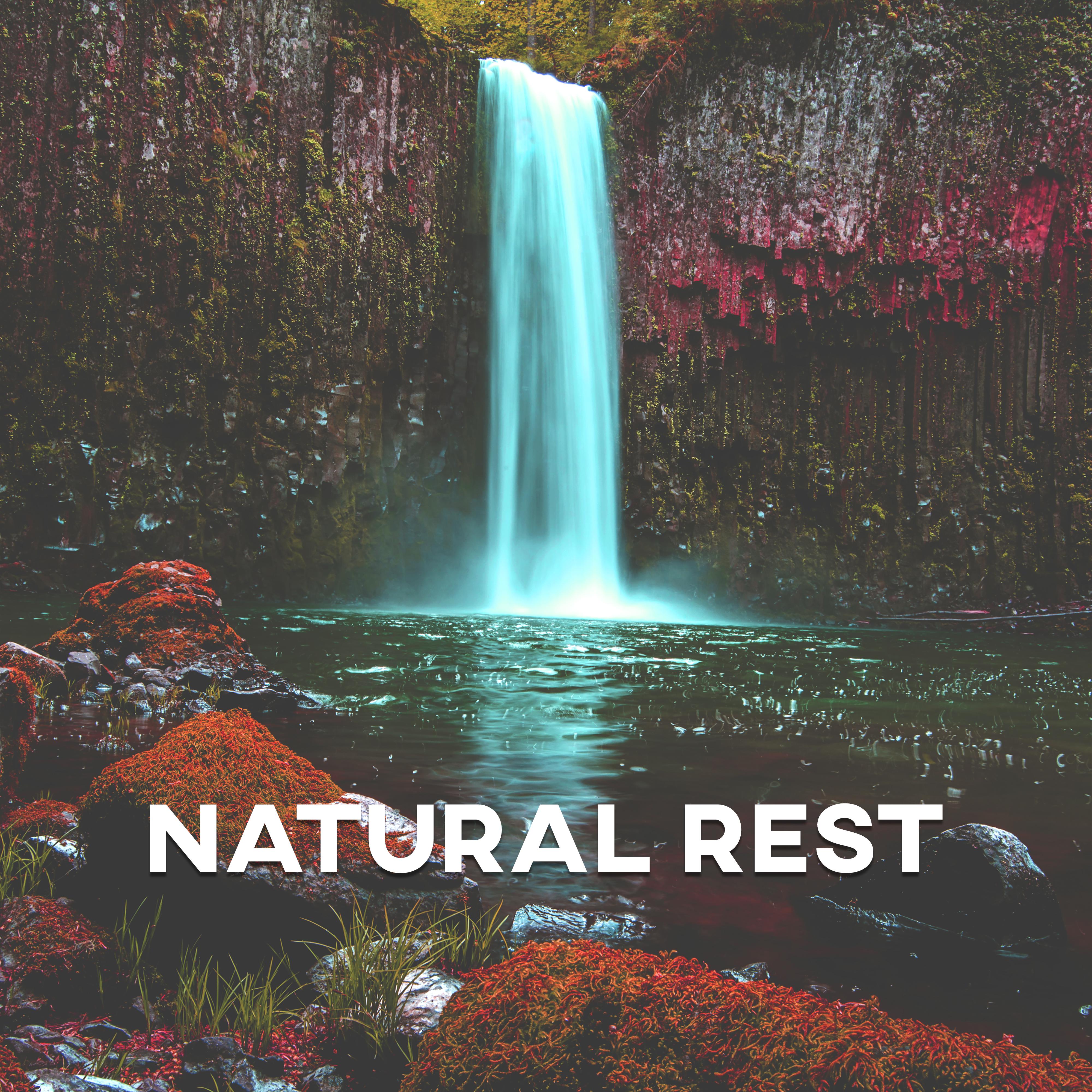 Natural Rest - Babbling Brook, Sounds Water, Relaxation of the Body and Mind, Rest by Snooze, Near Nature, Little Sleep, Good Nap, Sweet Dreams
