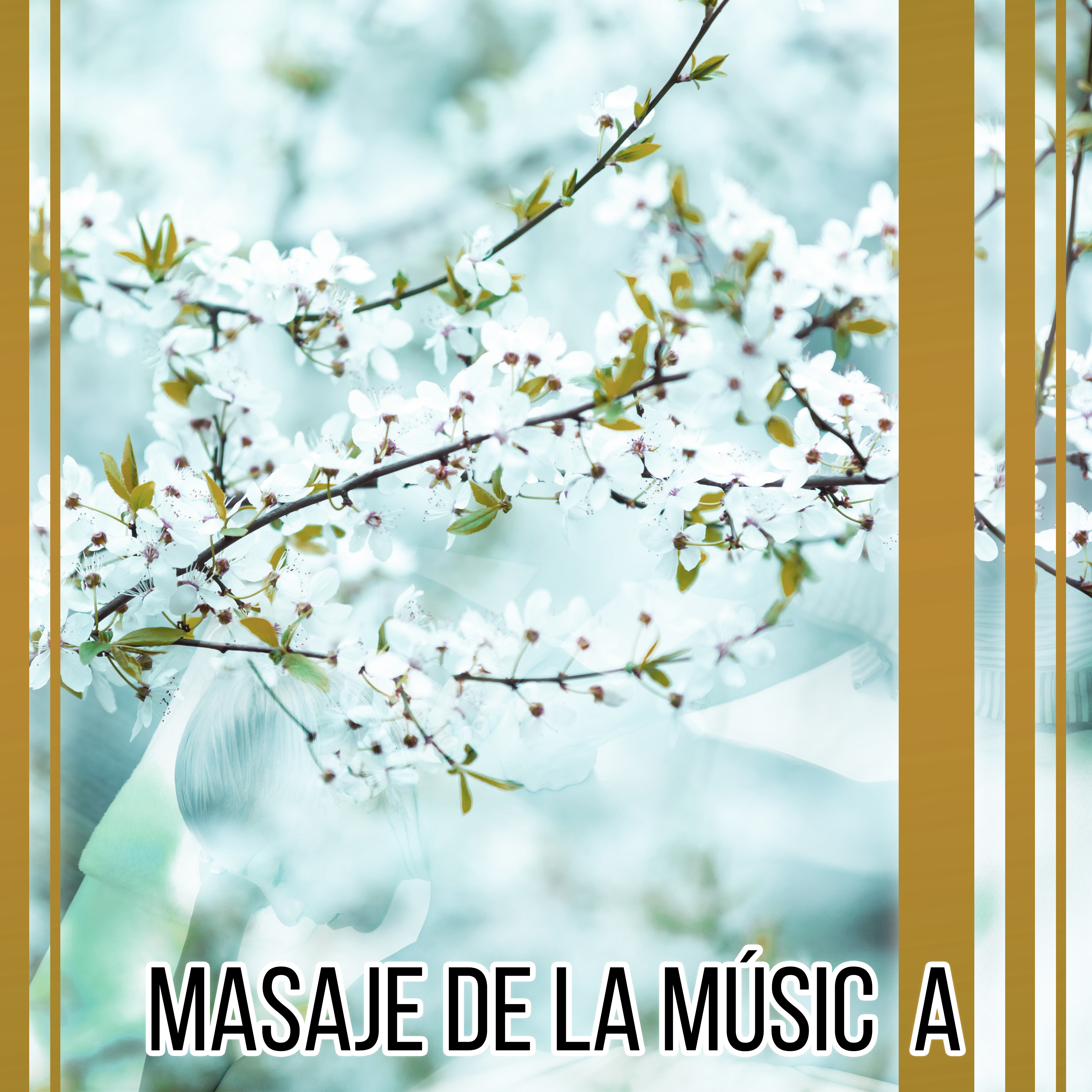 Masaje de la Música - Música Relajante, Masaje, Spa, Bienestar, los Sonidos Suaves de la Naturaleza, Meditación Profunda