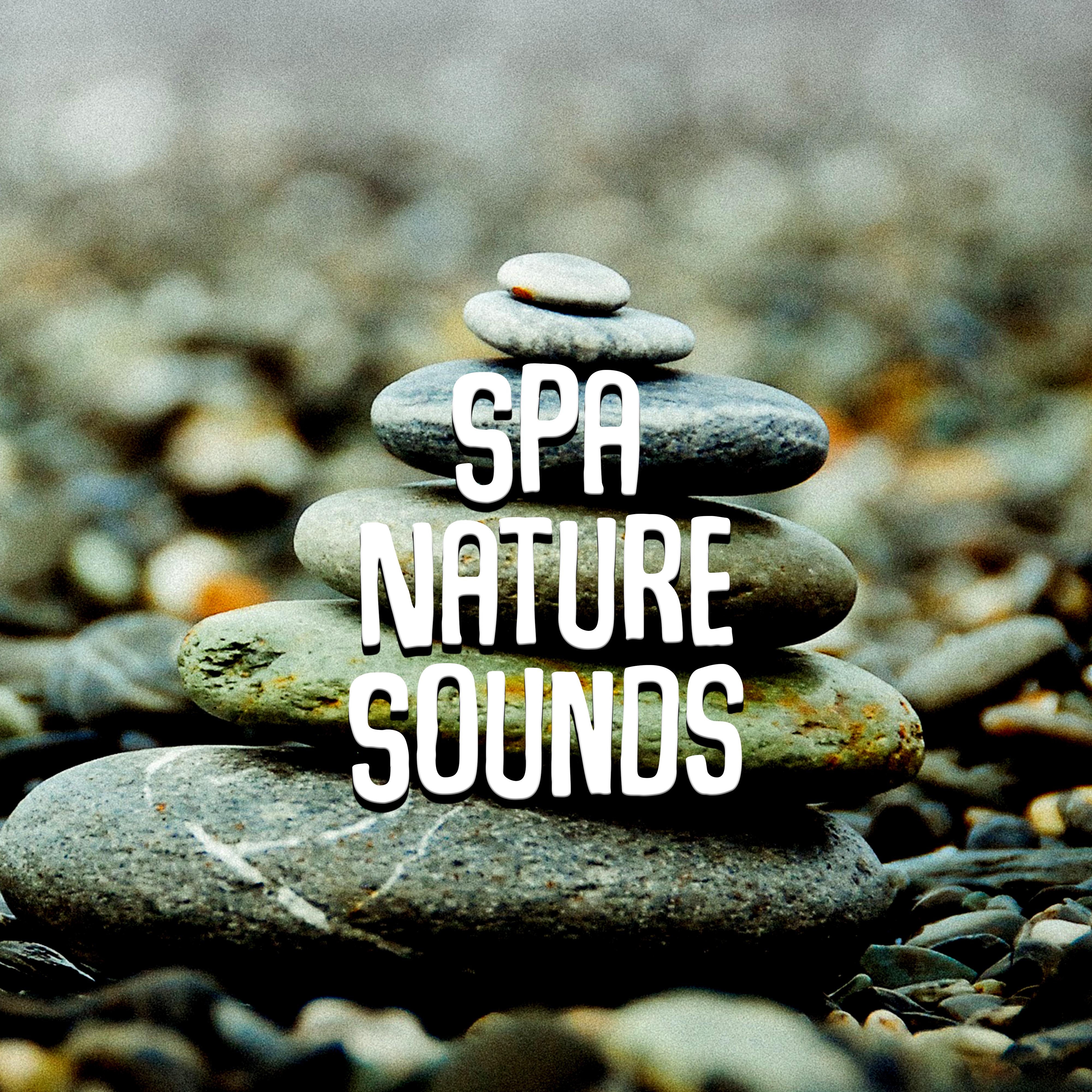 Spa Nature Sounds – Relaxation Sounds for Wellness, Spa, Calm Nature Sounds, Calming Water, Peaceful Waves