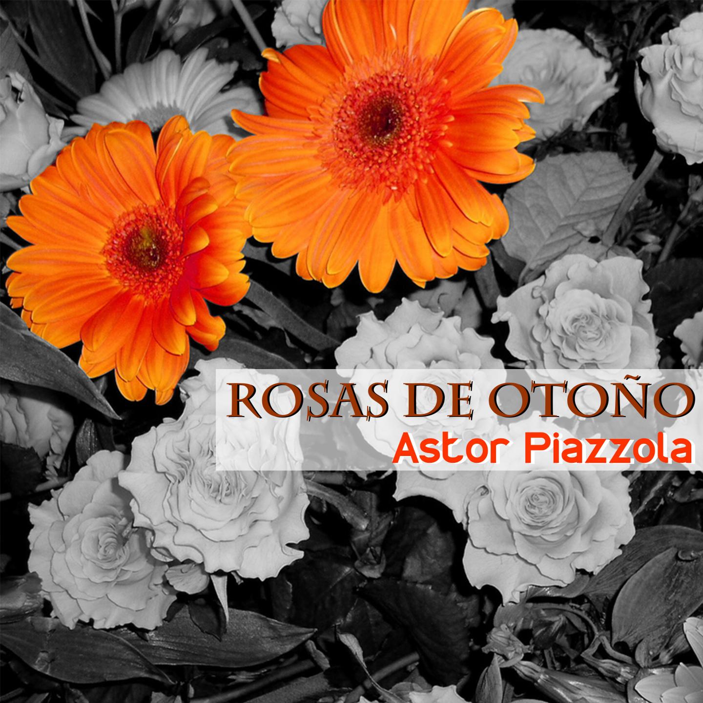 Rosas de Otoño