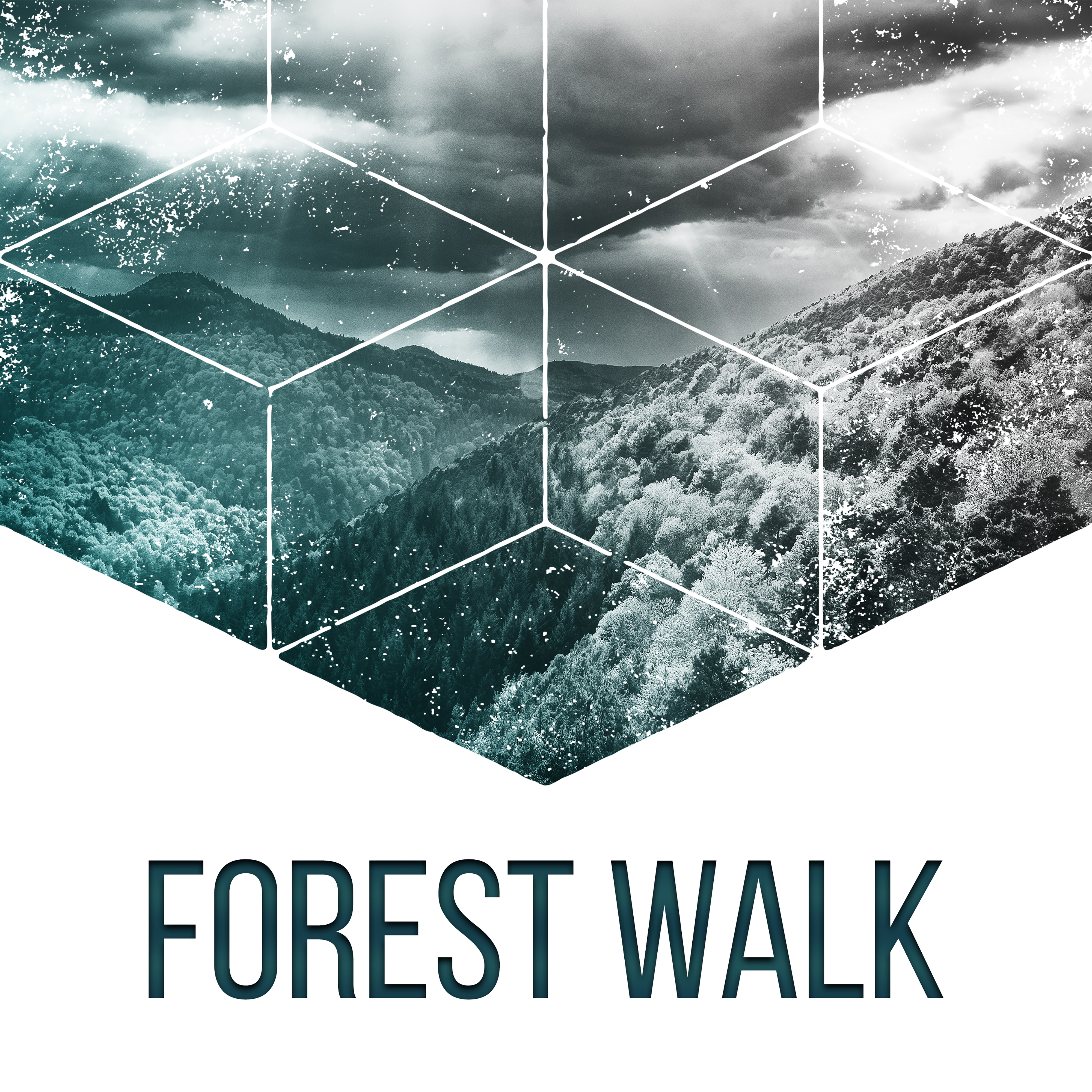 Forest Walk – Nature Sounds for Relaxation, Soothing Water, Singing Birds, Peaceful Mind, Deep Relief
