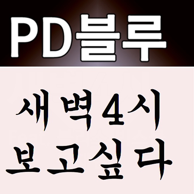 새벽 4시