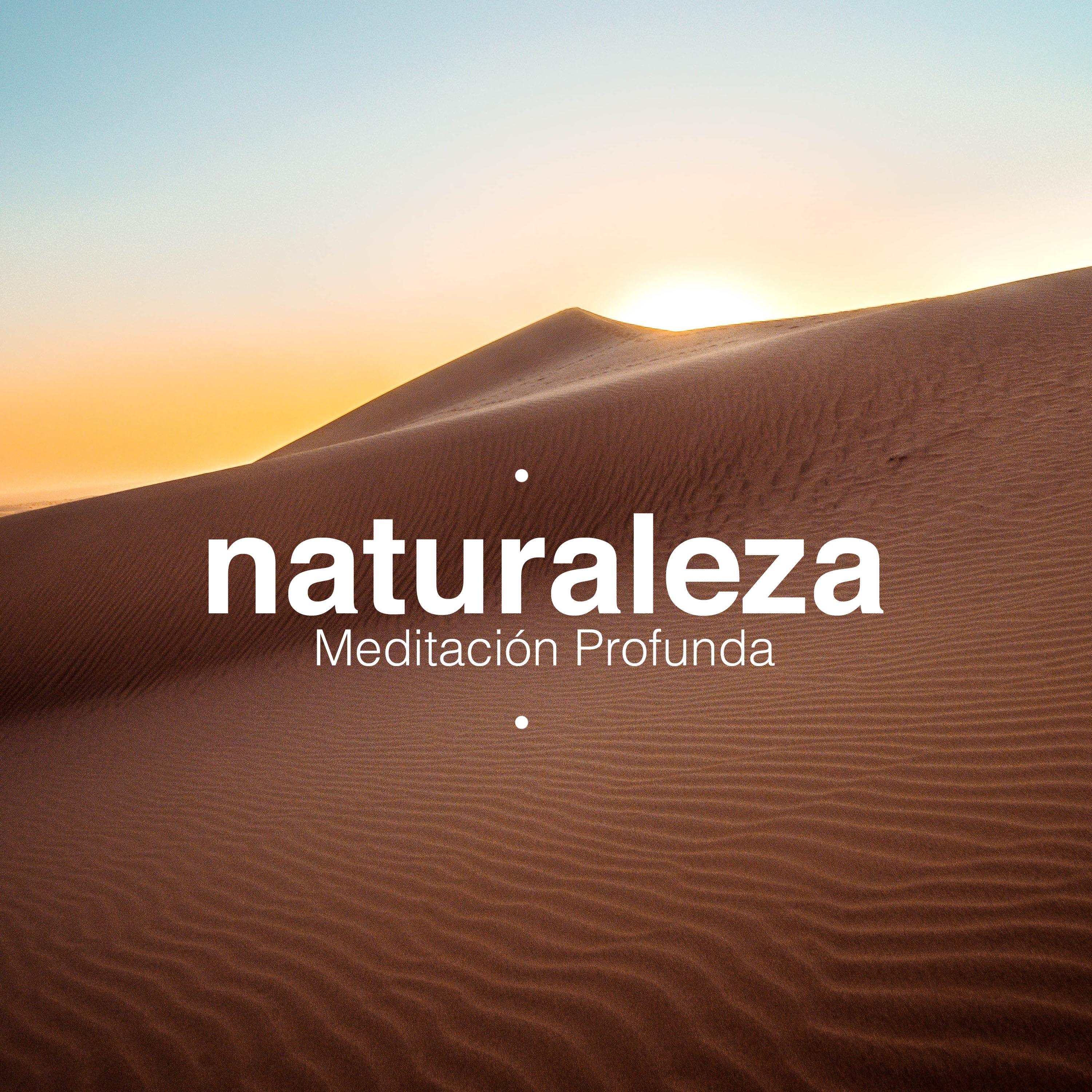 Naturaleza - Meditación Profunda, Ejercicios de Respiración, New Age