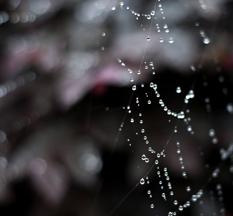 雨中漫步