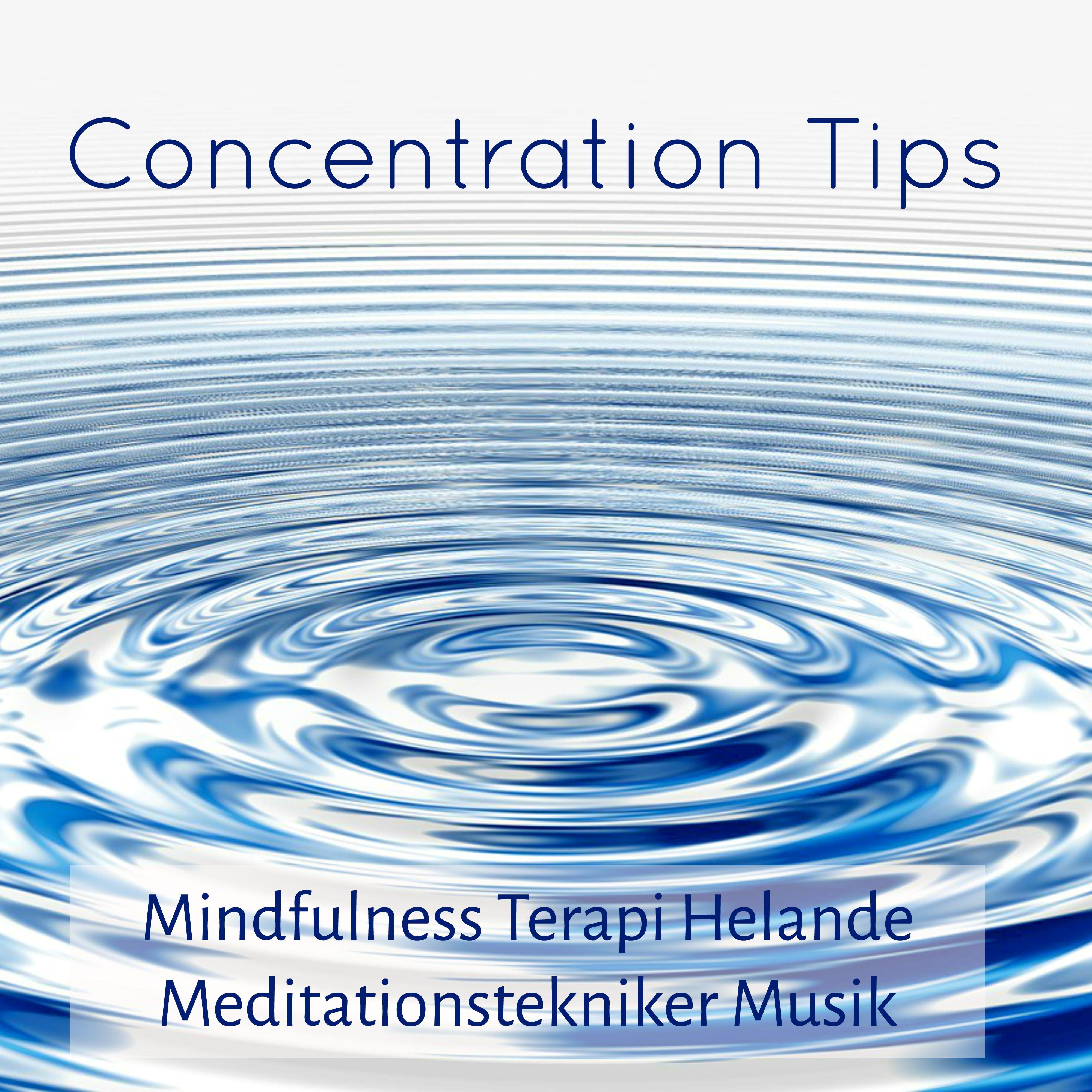 Concentration Tips - Mindfulness Terapi Helande Meditationstekniker Musik med New Age Instrumental Naturens Ljud