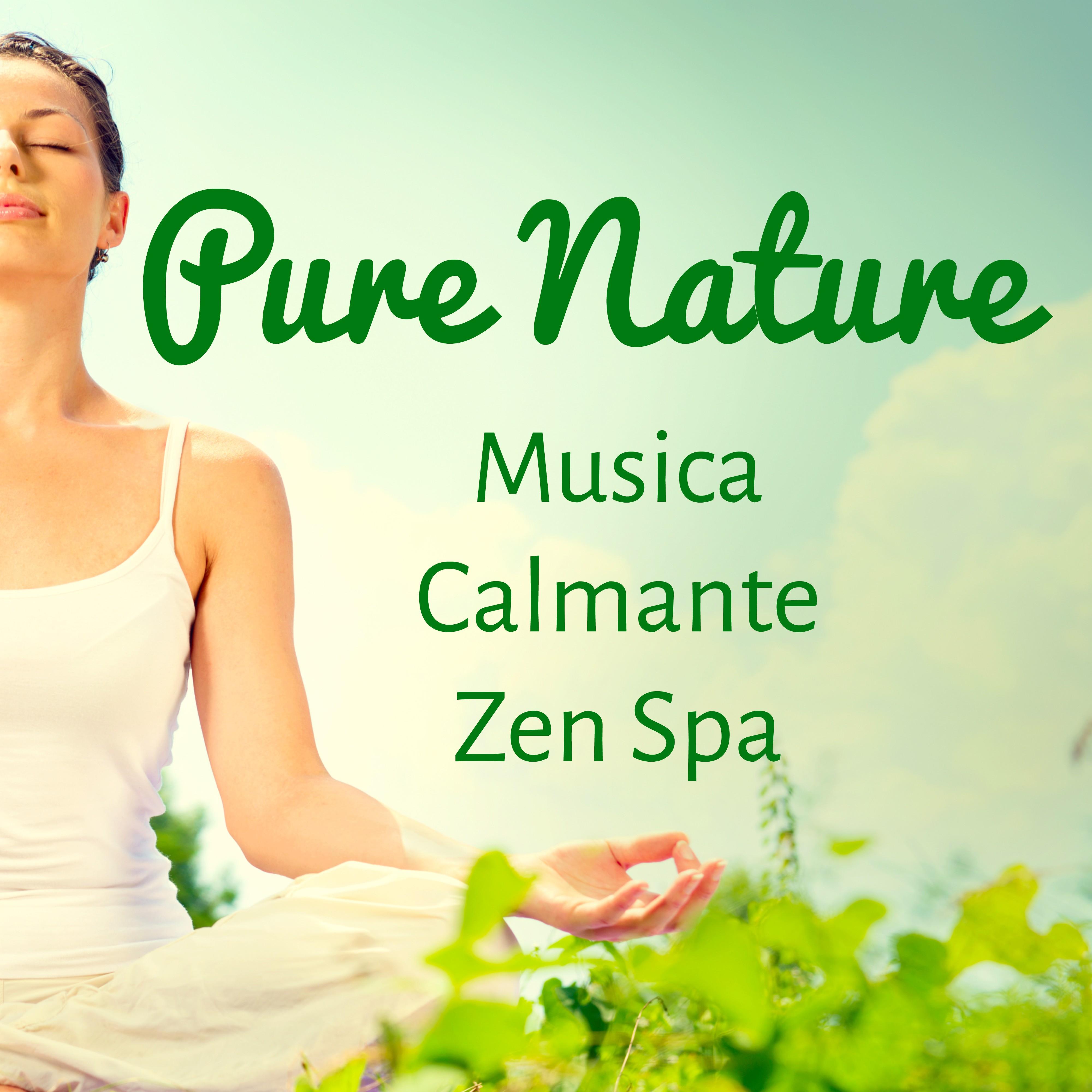 Pure Nature - Musica Calmante Zen Spa per Migliorare la Concentrazione Meditazione Guidata Esercizi Spirituali