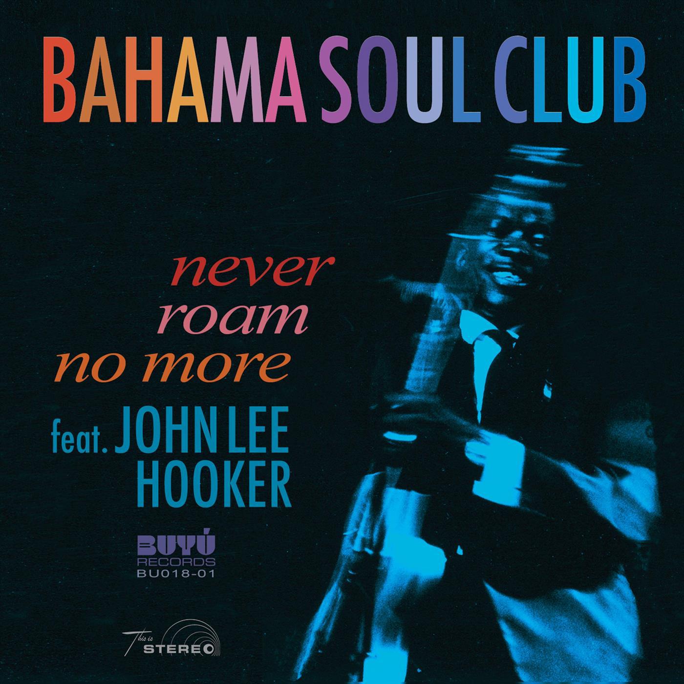 Never Roam No More (feat. John Lee Hooker)