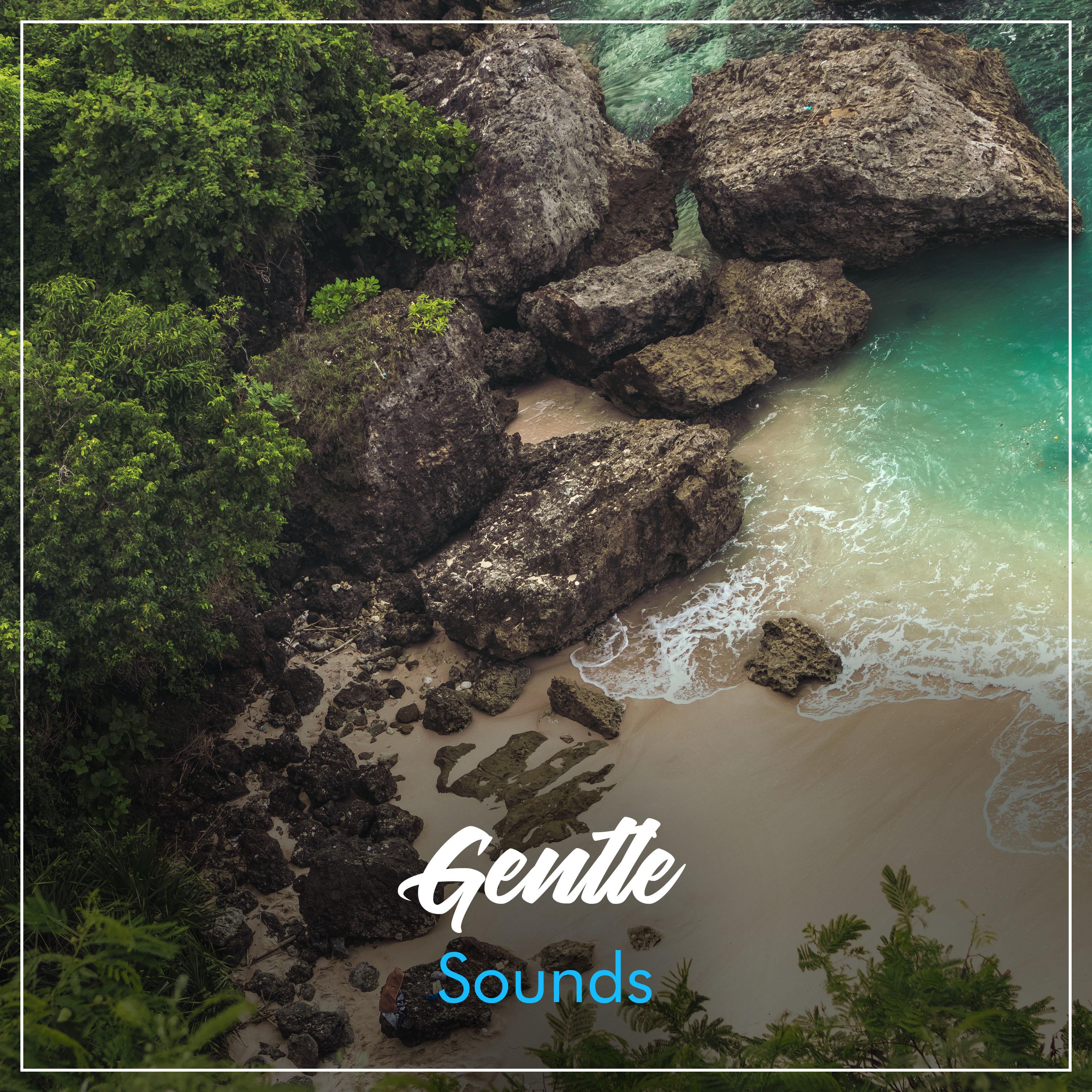 #14 Gentle Sounds for Zen Spa