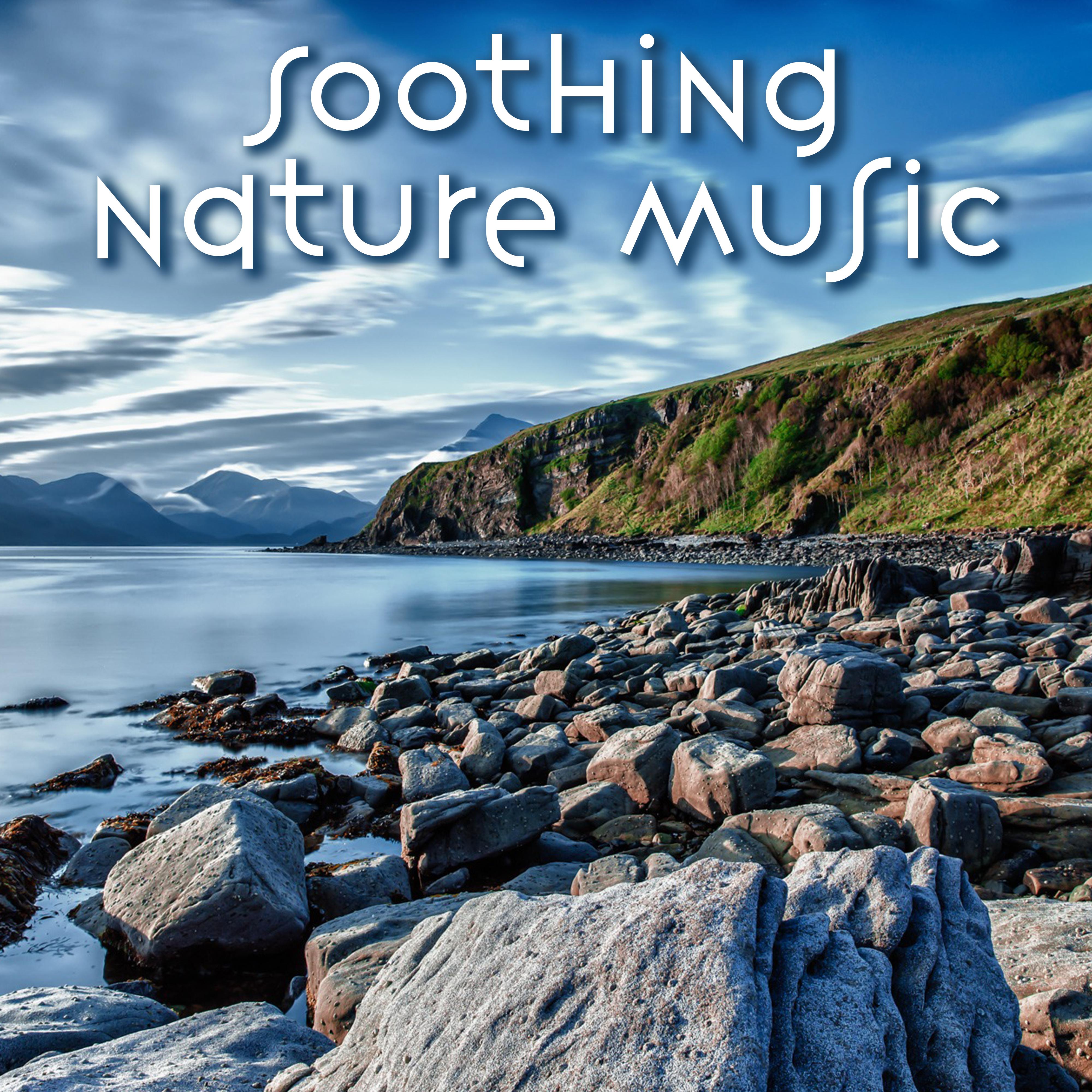 Soothing Nature Music – Calm Sounds of Nature, New Age Sounds, Peaceful Music, Mind Control