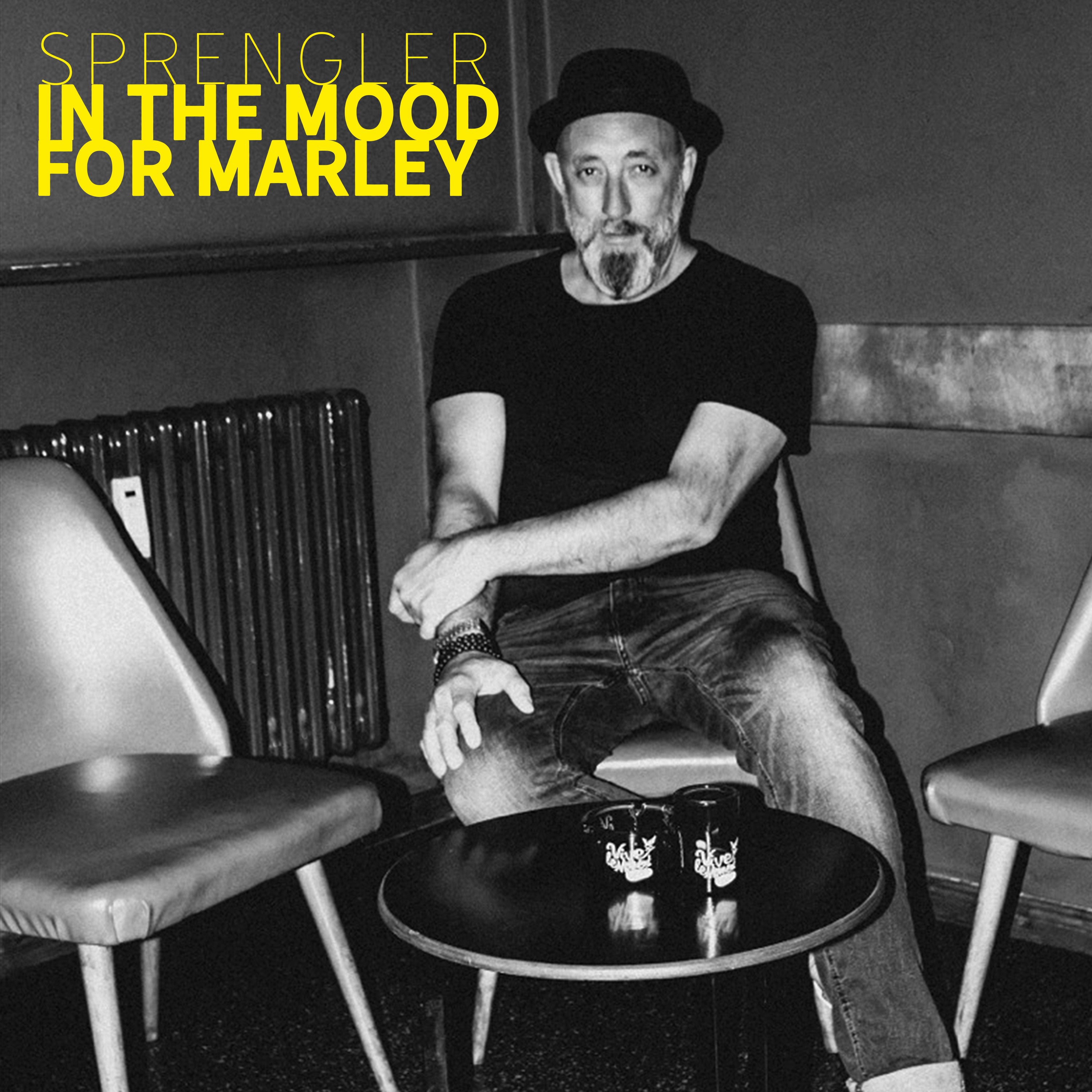 In the Mood for Marley (Single Mix)