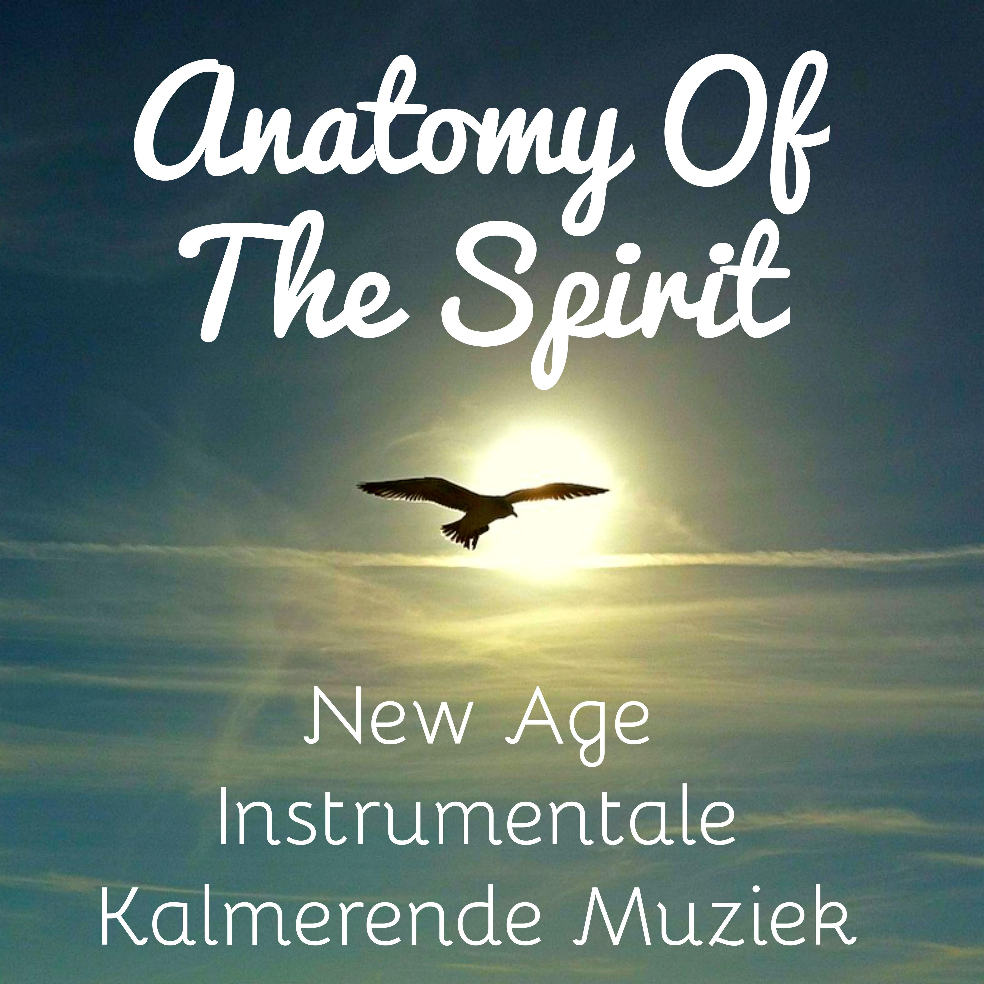 Anatomy Of The Spirit - New Age Instrumentale Kalmerende Muziek voor Ayurvedic Massage Mindfulness Oefeningen en Diepe Slaap