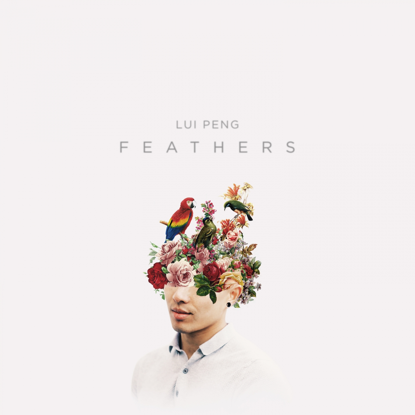 Feathers