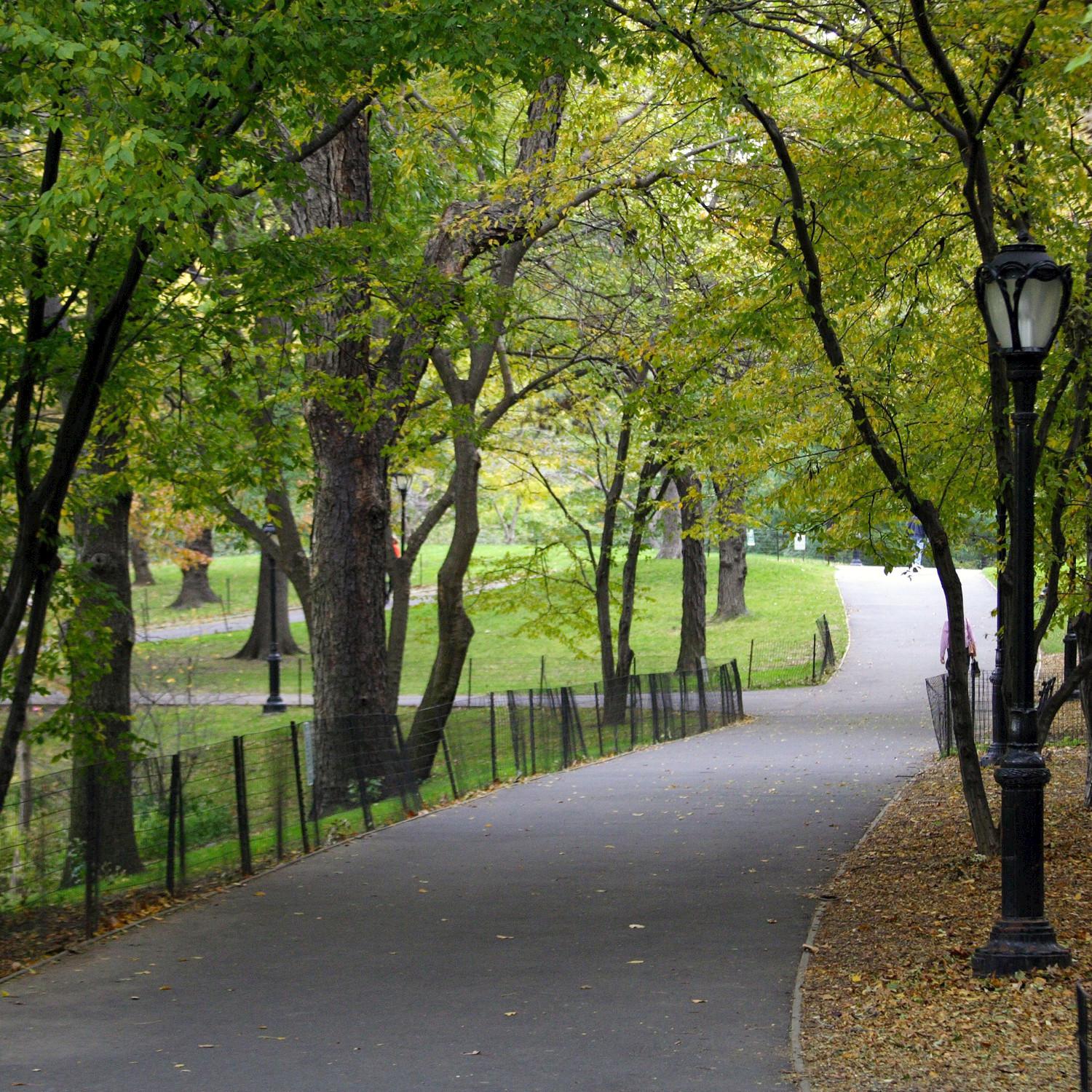 City Park with Distant Churchbells - Single