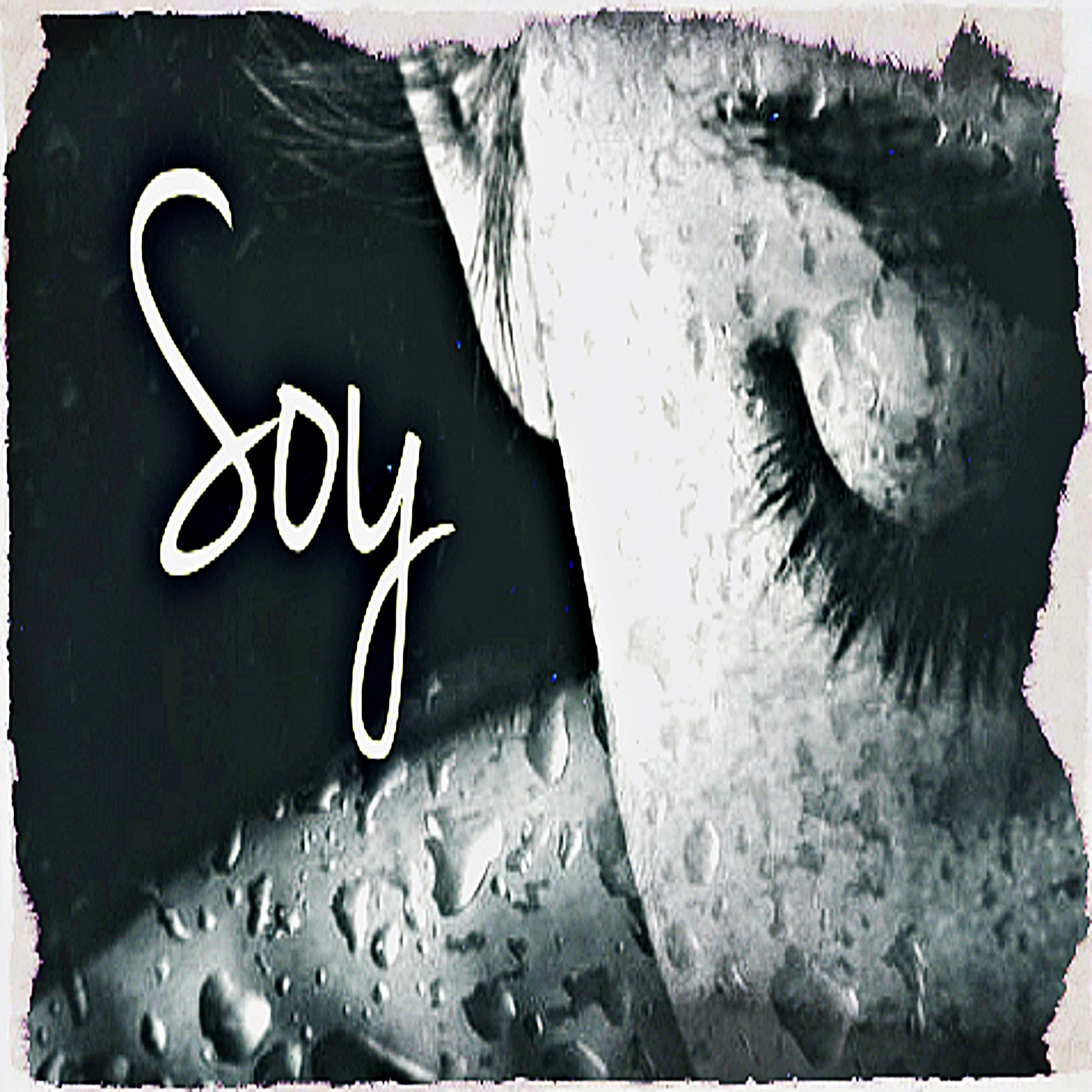 Soy