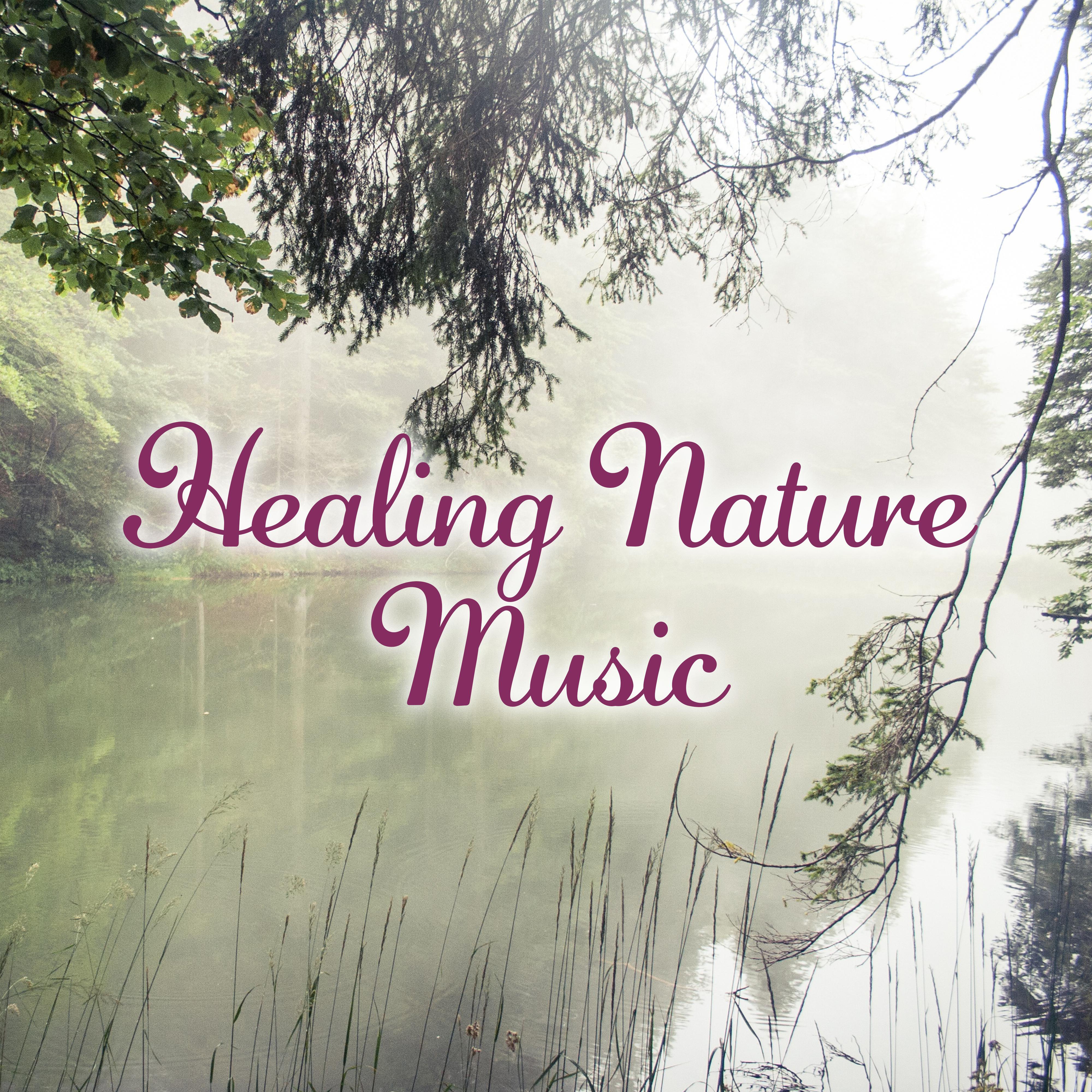 Healing Nature Music – New Age Sounds, Deep Relax, Meditation, Spa, Relaxing Massage Music, Pure Nature Collection