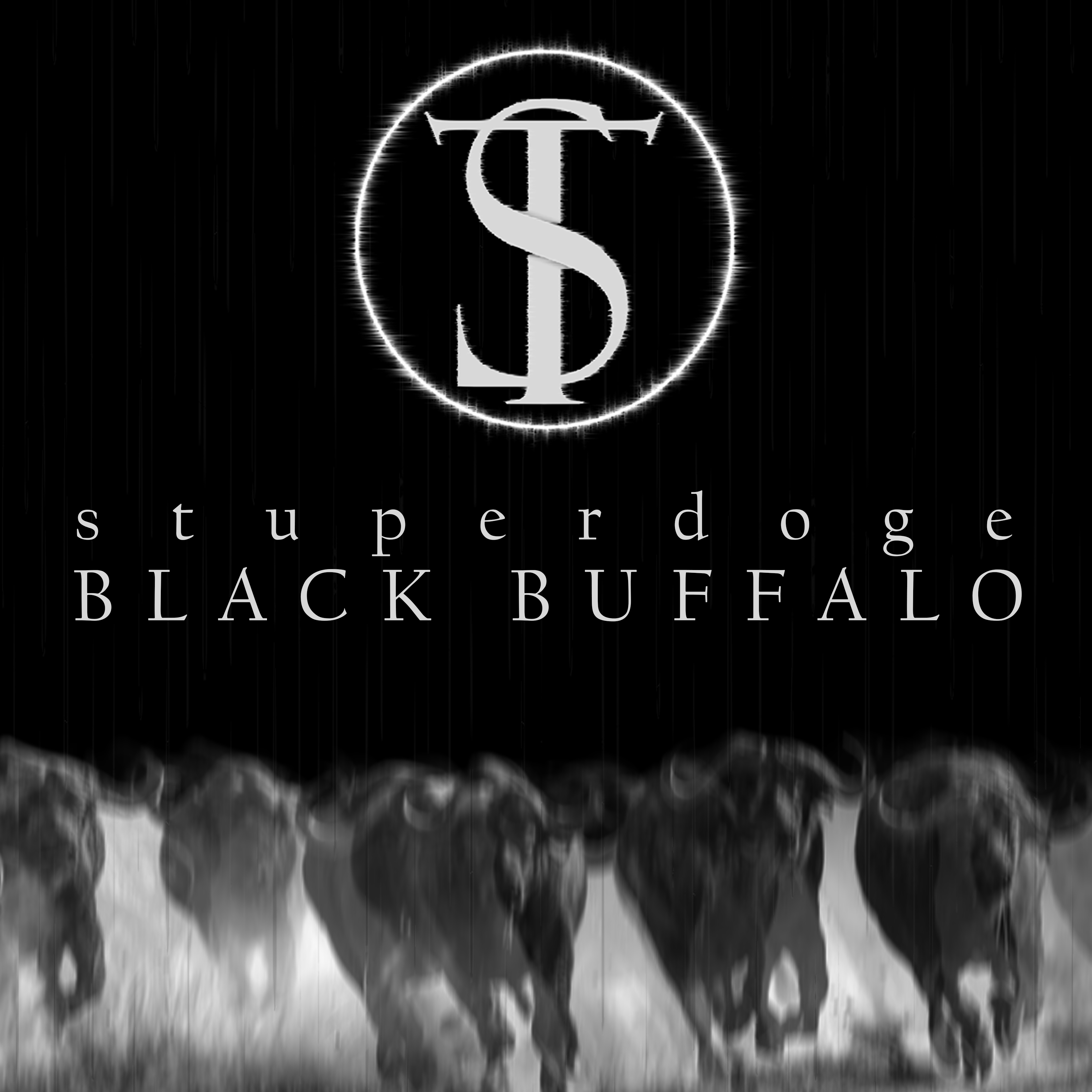 Black Buffalo