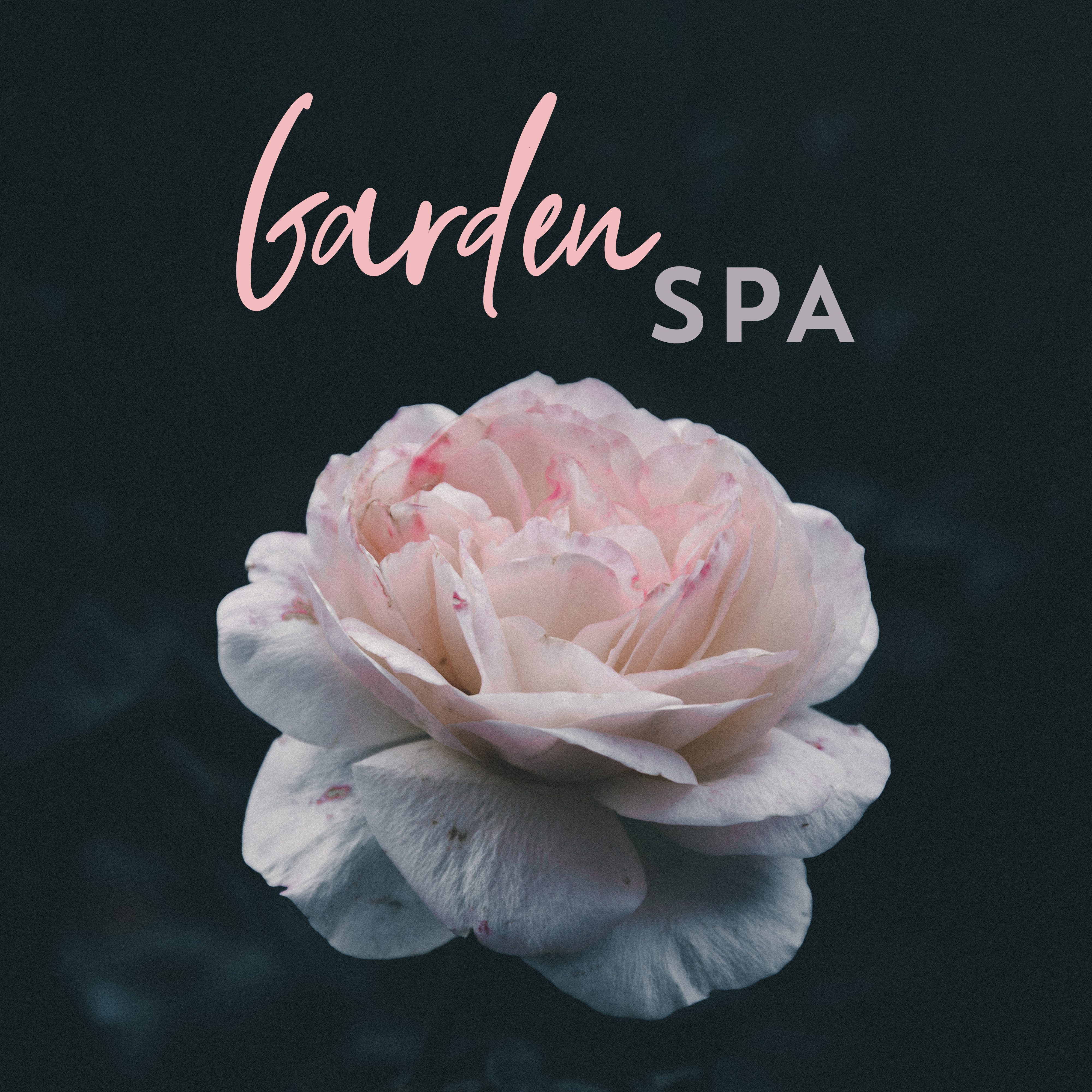 Garden SPA: Relaxing Music for SPA, Massage, Therapy, Sleeping