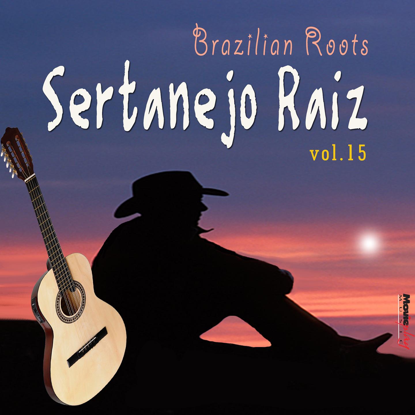 Sertanejo Raiz, Vol. 15